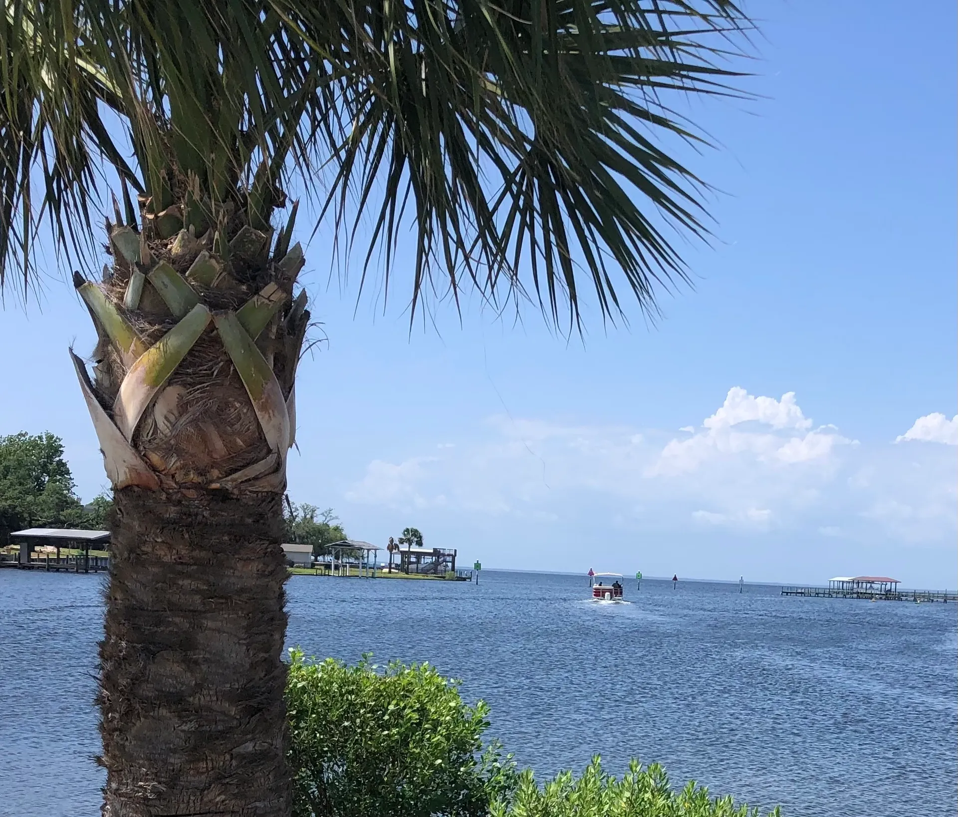 "Fun in the Sun" Best priced Pontoon - 12 ppl!