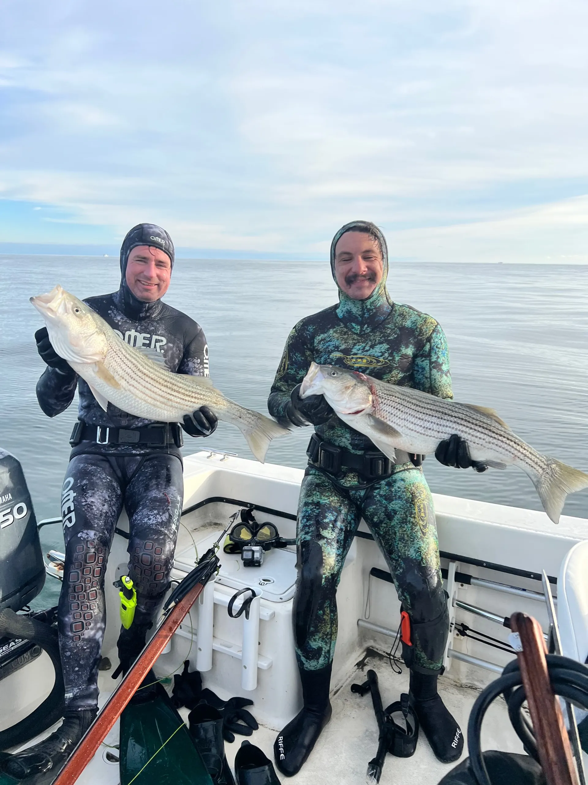 Perfect fishing, diving, and cruising boat!