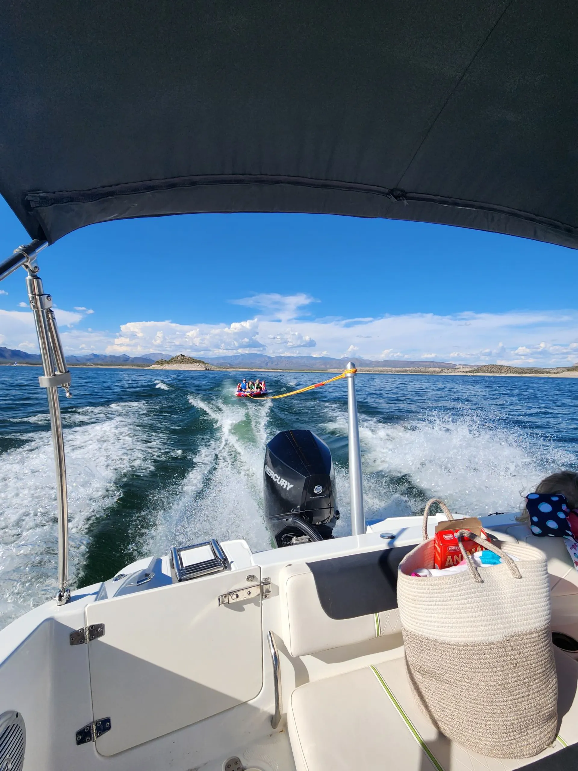 Tahoe 2150 deckboat in Peoria, AZ — photo 8