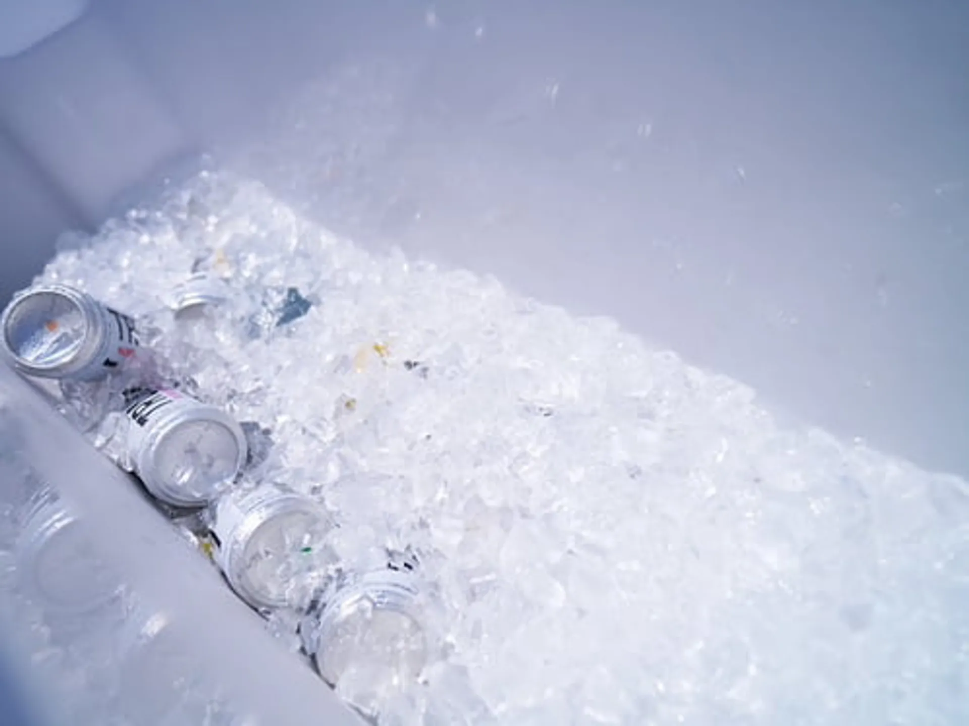 Island Hop to Passage Key and Egmont Key! 🐬