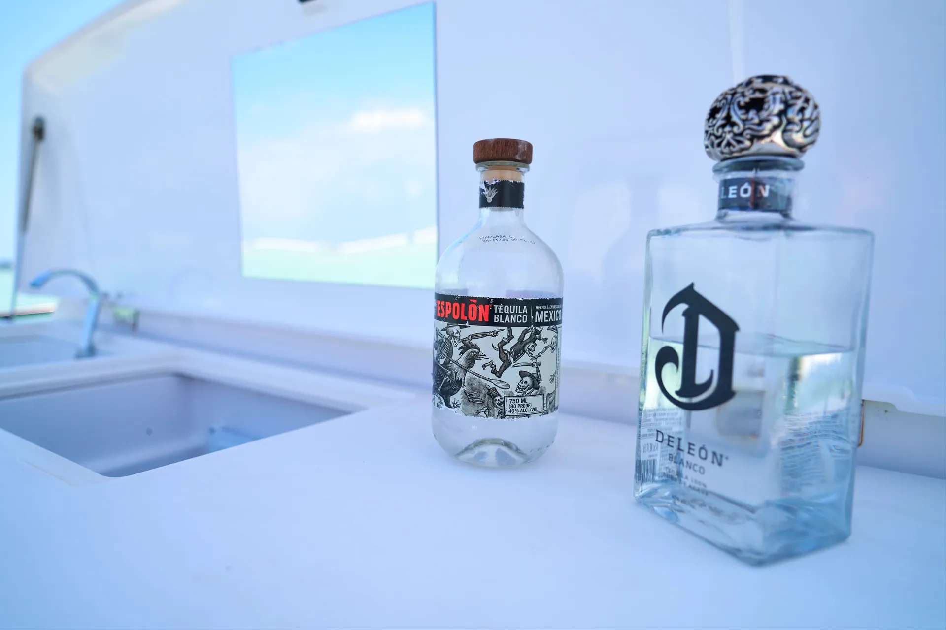 Island Hop to Passage Key and Egmont Key! 🐬