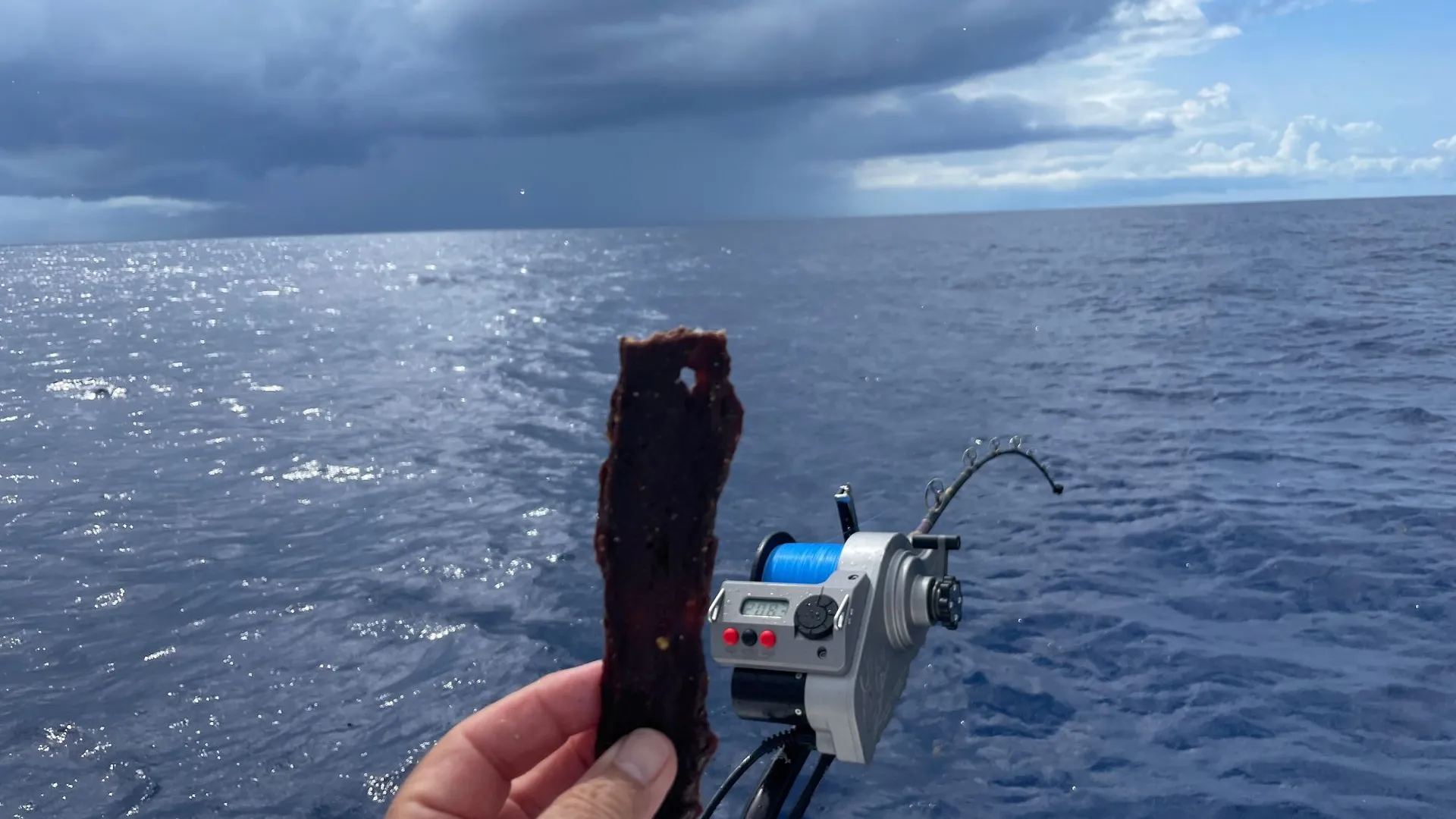 Explore the Stunning Waters of the Florida Keys Aboard Our 31’ Contend