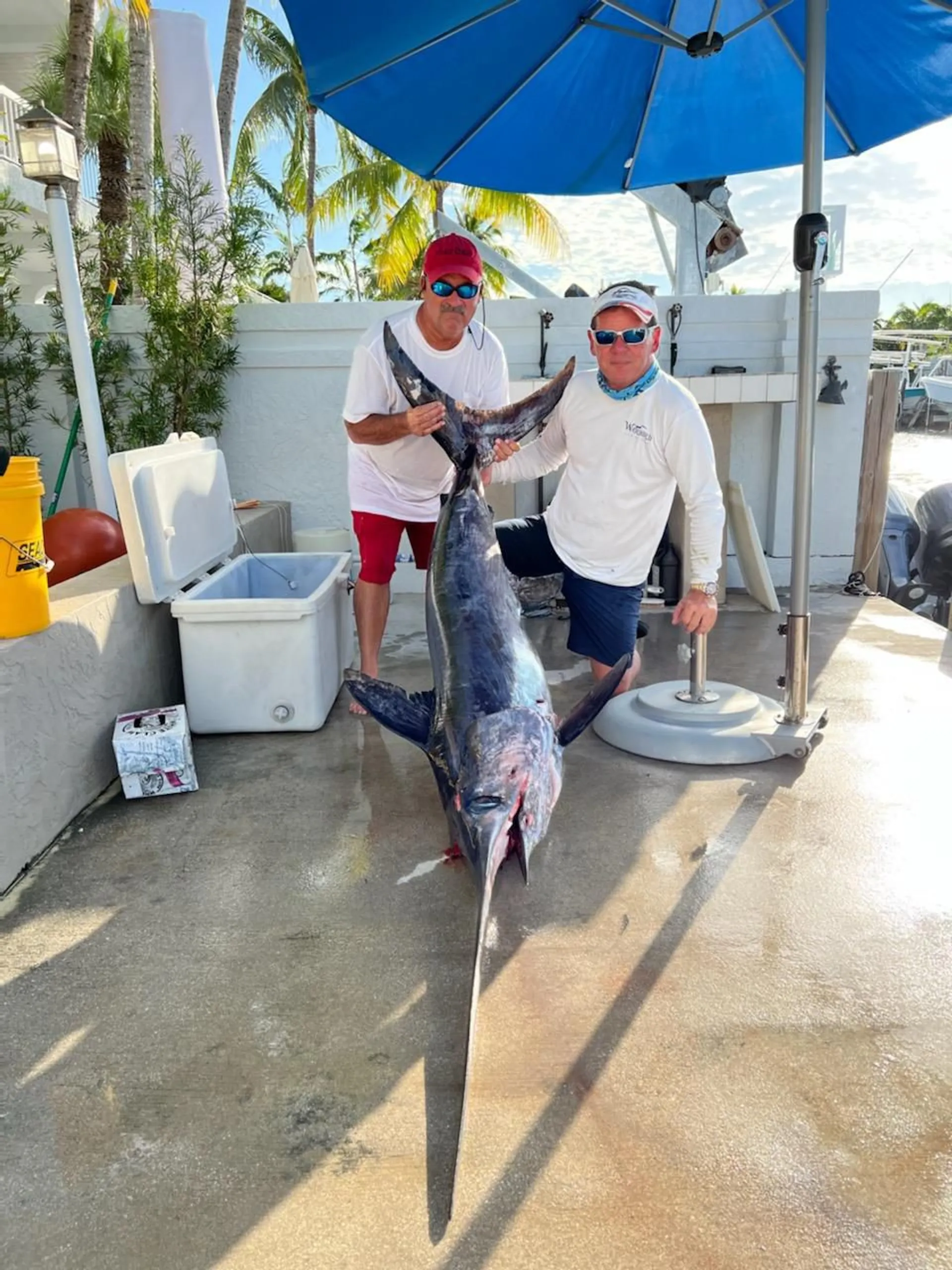 Explore the Stunning Waters of the Florida Keys Aboard Our 31’ Contend