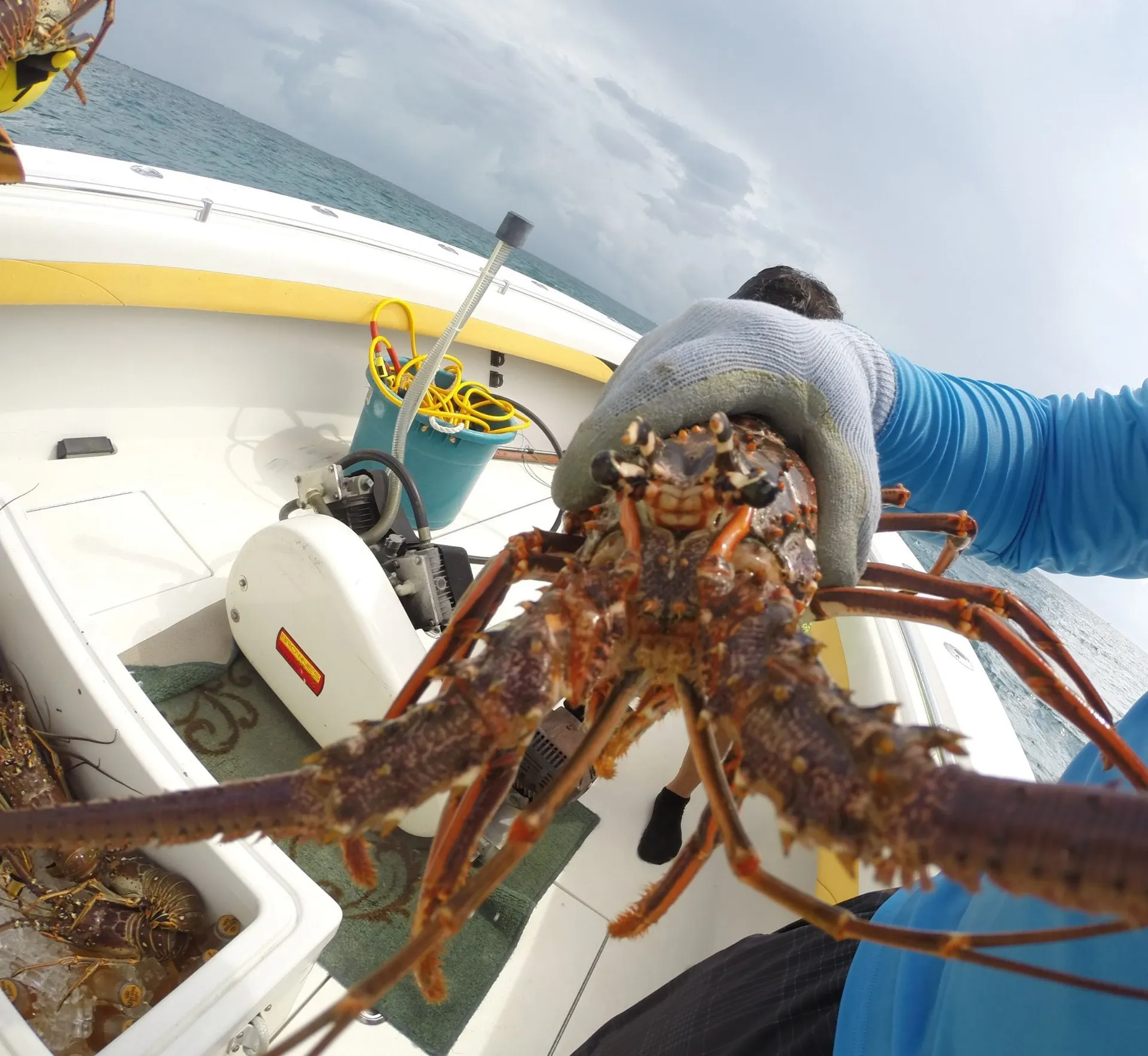 Explore the Stunning Waters of the Florida Keys Aboard Our 31’ Contend