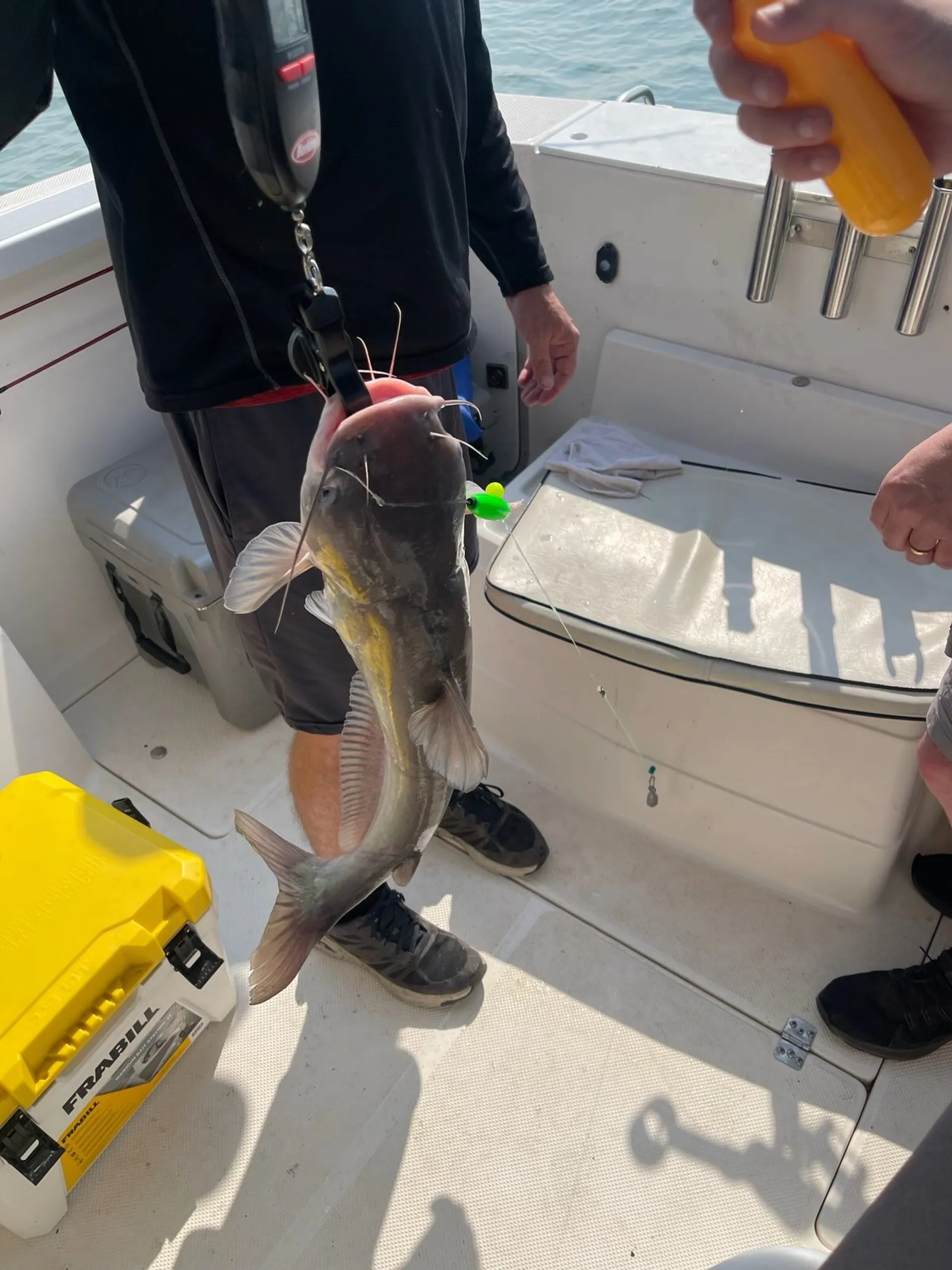 Cruise or Fish w/ Captain. Full Cabin, Heat, A/C, Private Restroom