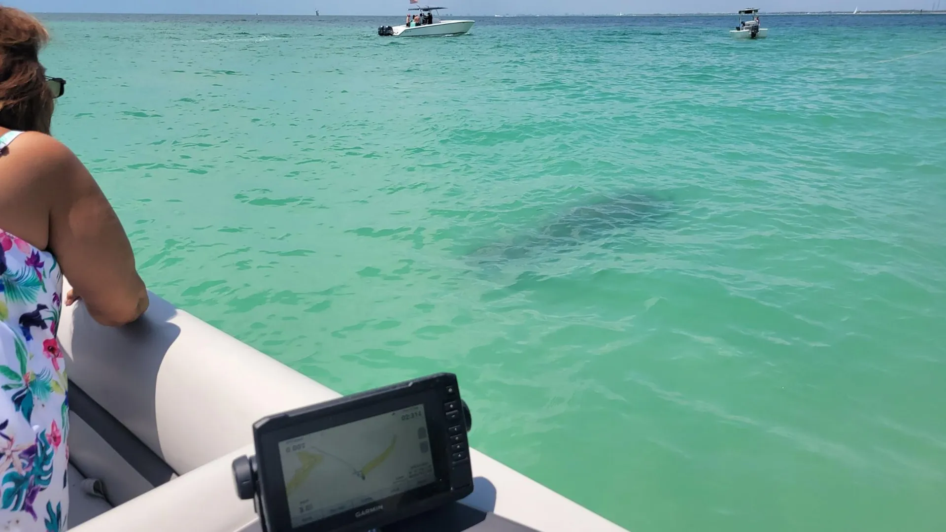 Party Pontoon for 12!! 