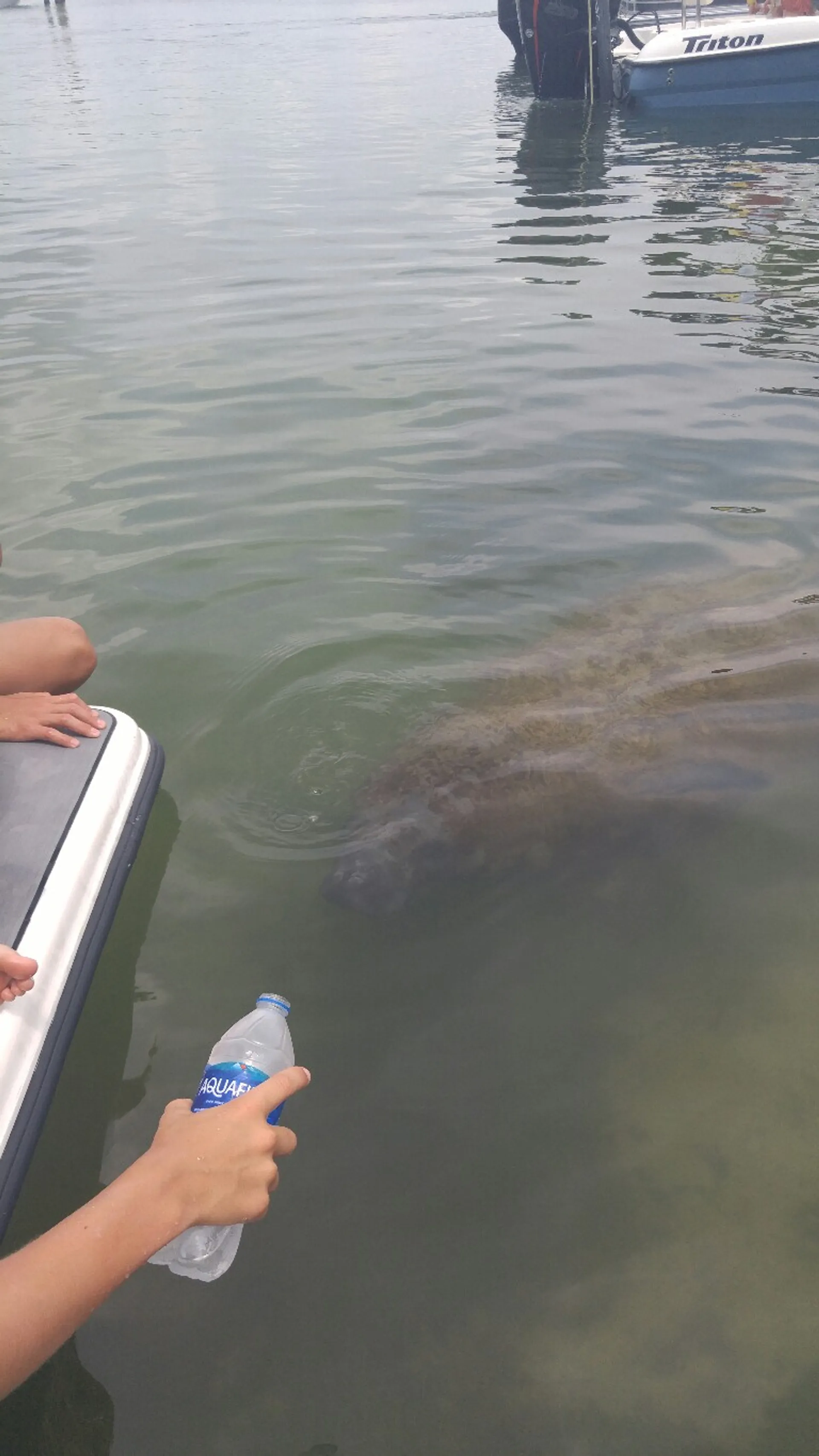 LUXURY 24ft Tri-toon (3) Pontoon Boat rental. Captain available