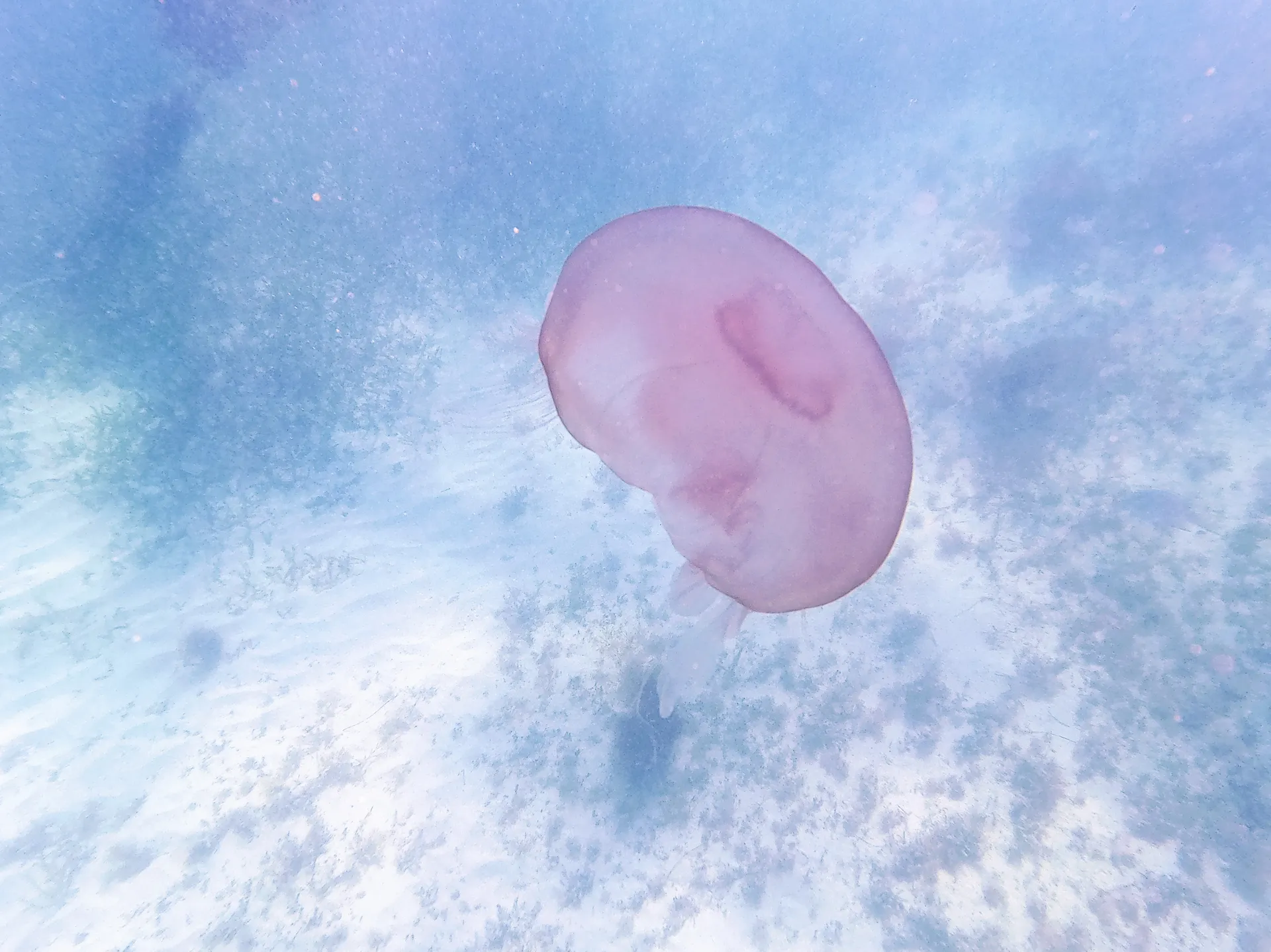 A unique experience in MIAMI