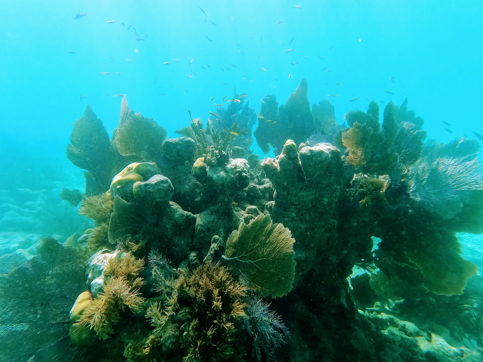 A unique experience in MIAMI