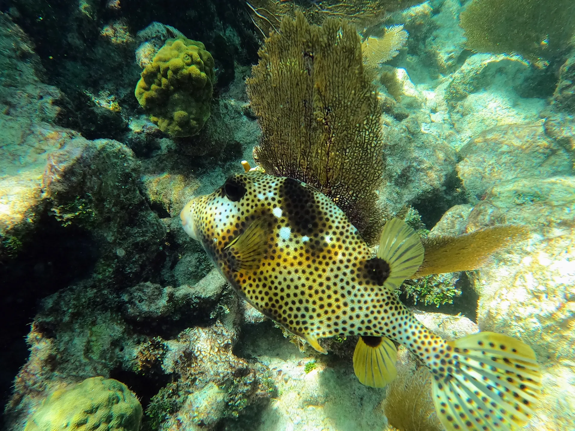 A unique experience in MIAMI