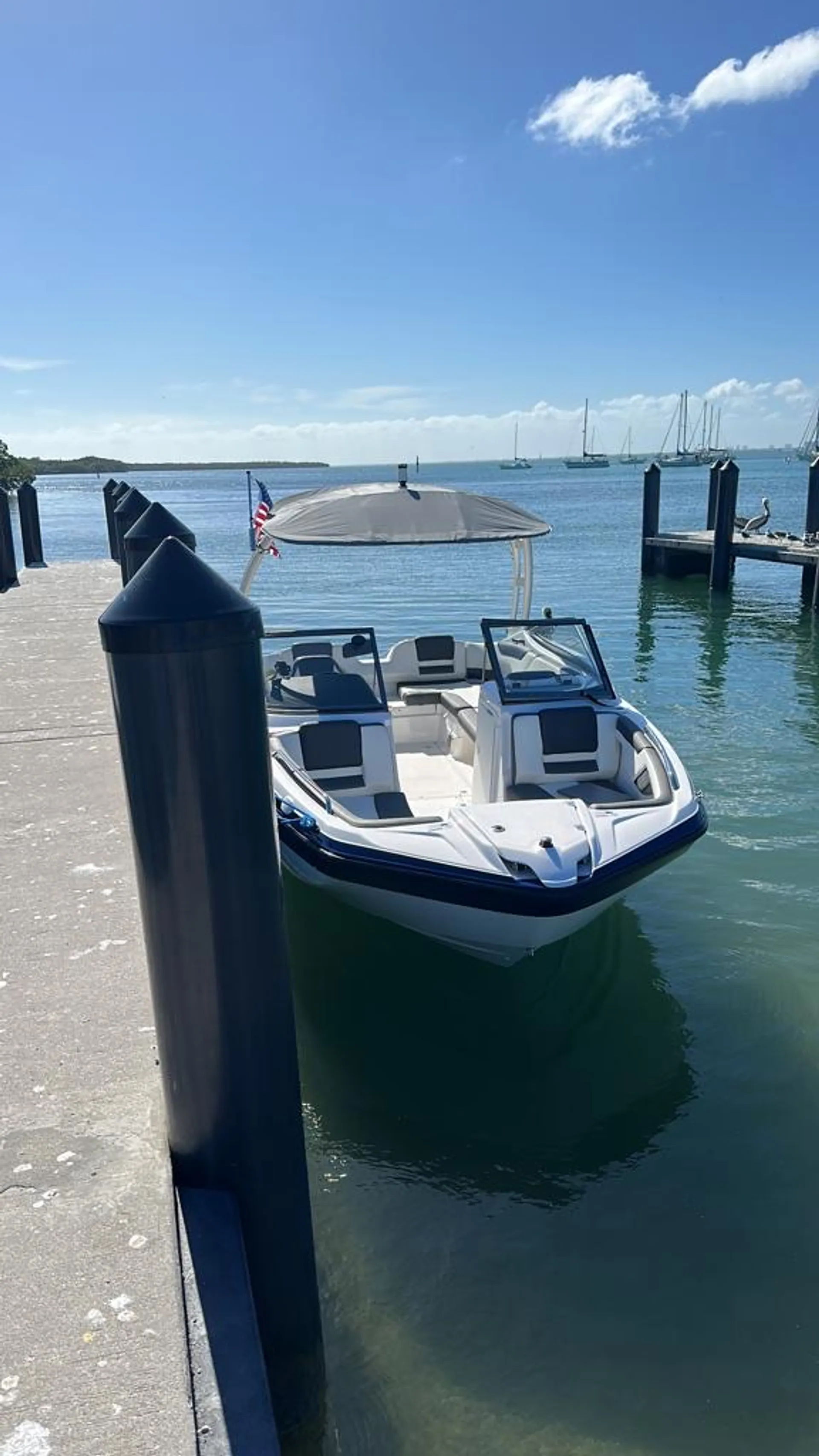 YAMAHA AR210 W/TRAILER in Pompano Beach, FL — photo 7