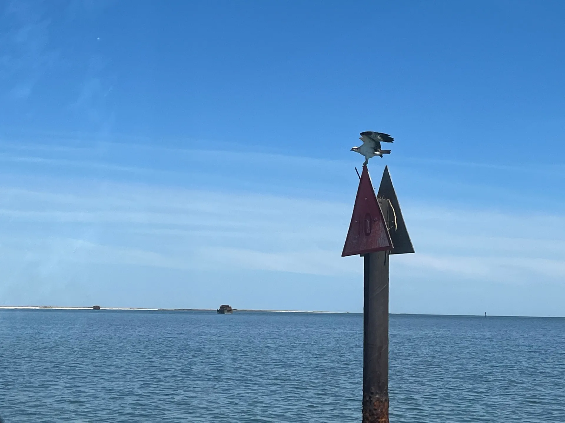 Sightseeing/fishing on the Chesapeake Bay - INCLUDES FUEL & FISH GEAR!