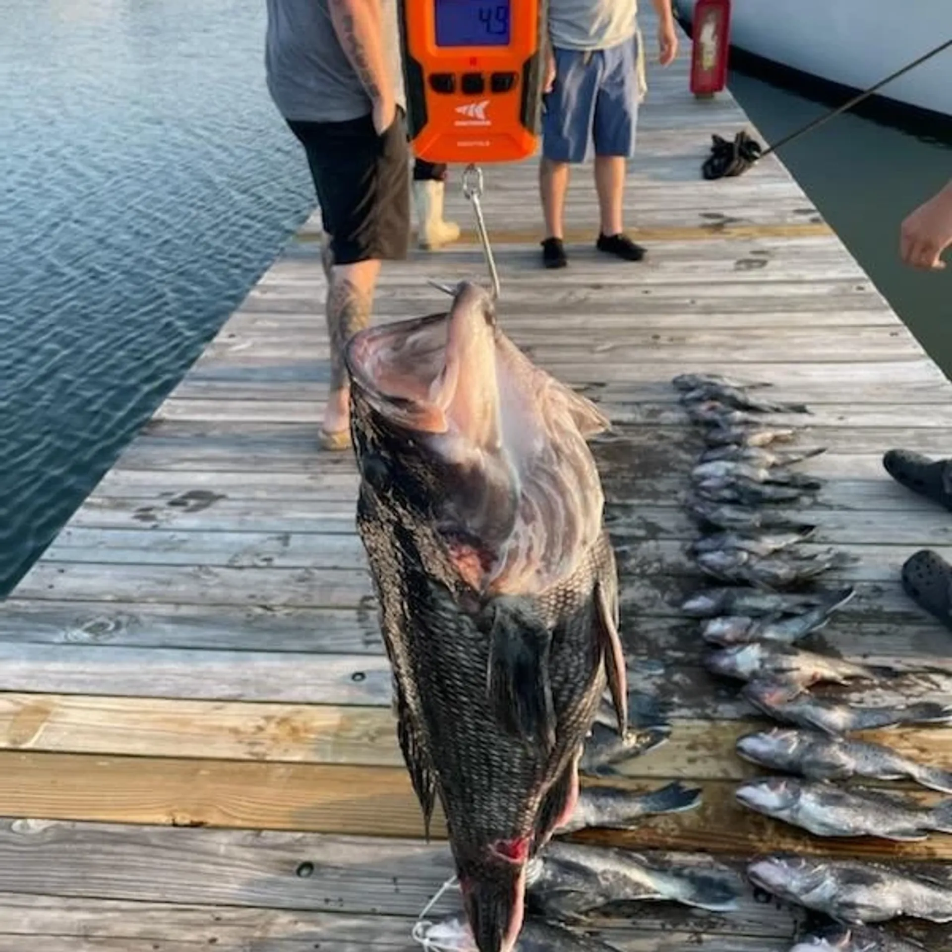 Custom Party Cruises & Fishing Trips in Virginia Beach