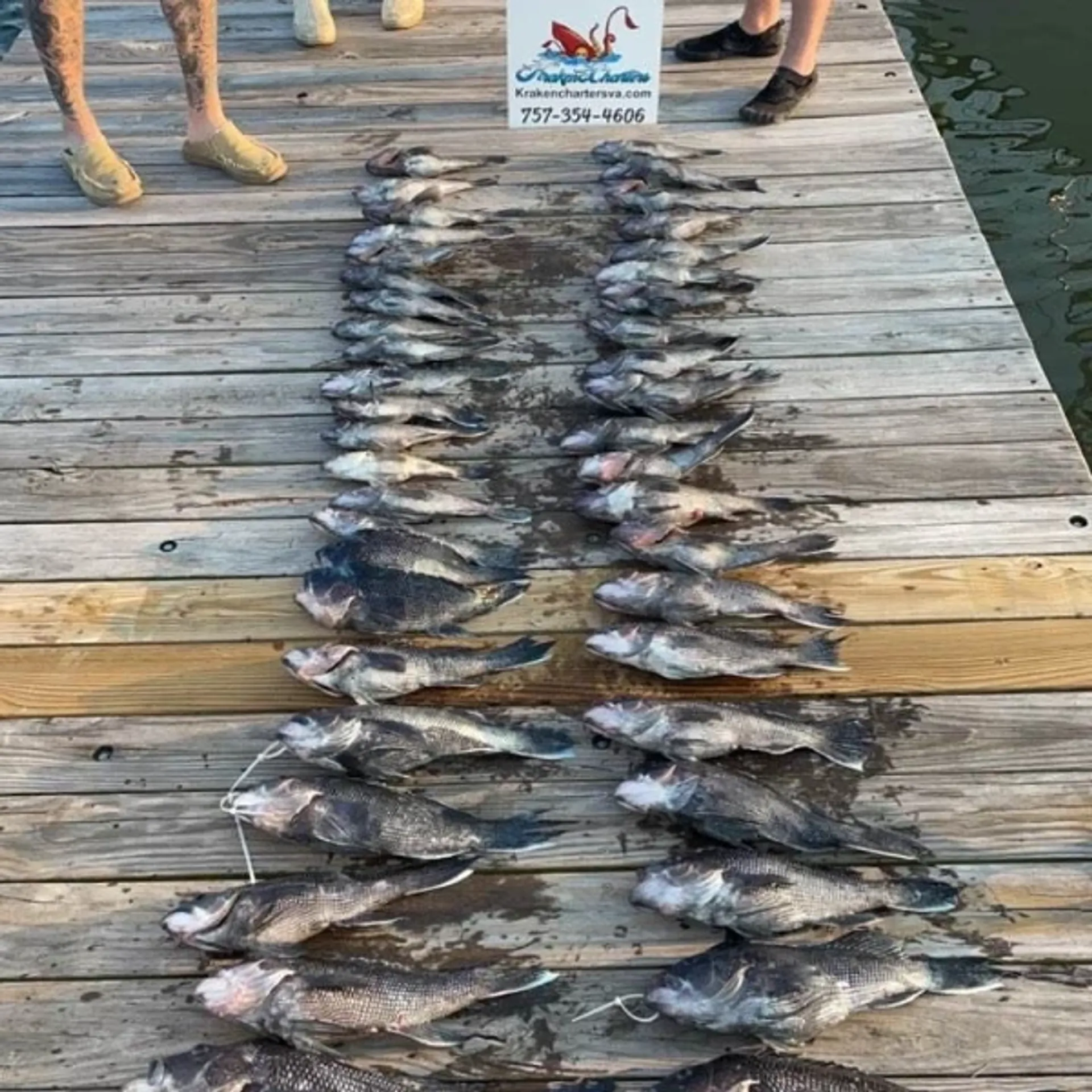 Custom Party Cruises & Fishing Trips in Virginia Beach