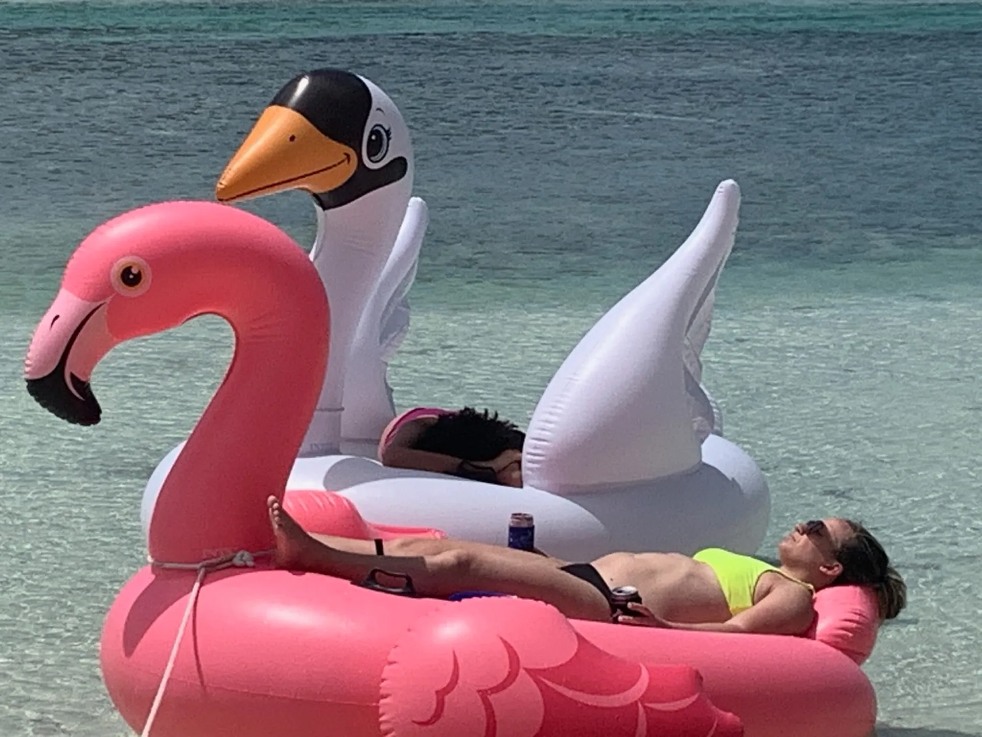 Private Sandbar Charters🌞