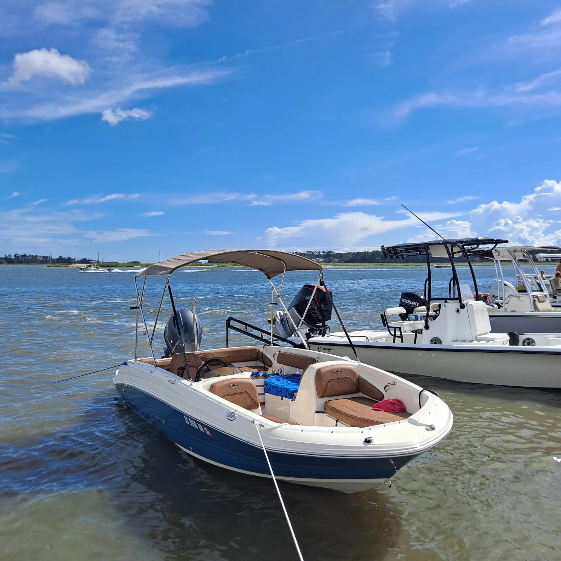 Creating Memorable Sealife Moments