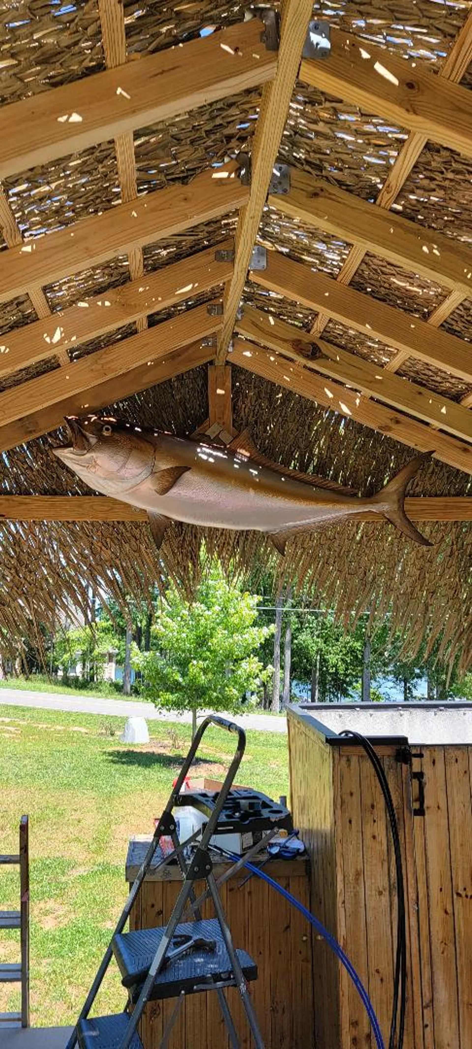 Godfrey conveyor SP-2826 in Mooresville, NC — photo 5