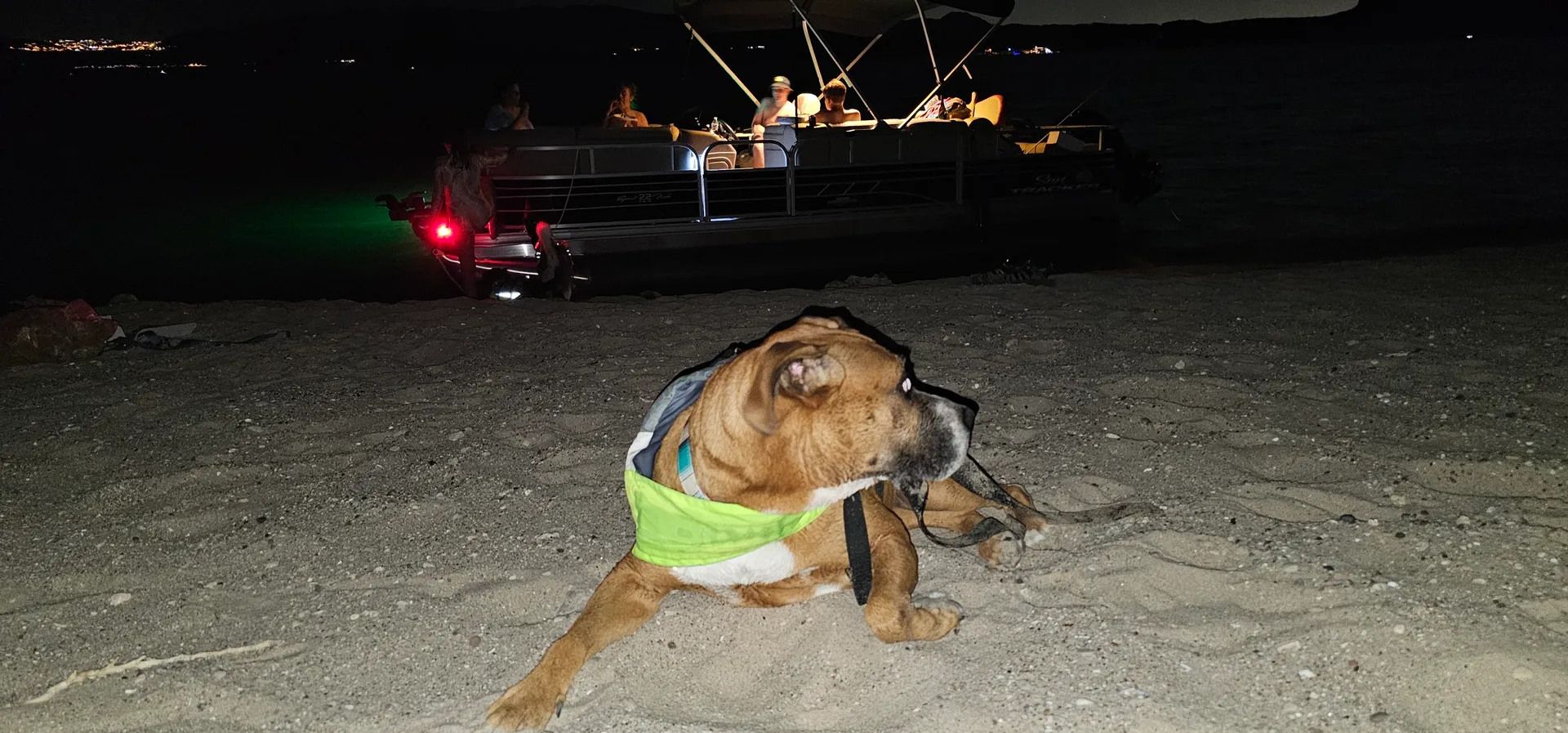 SUN TRACKER SPORTFISH 22 DLX in Boulder City, NV — photo 7