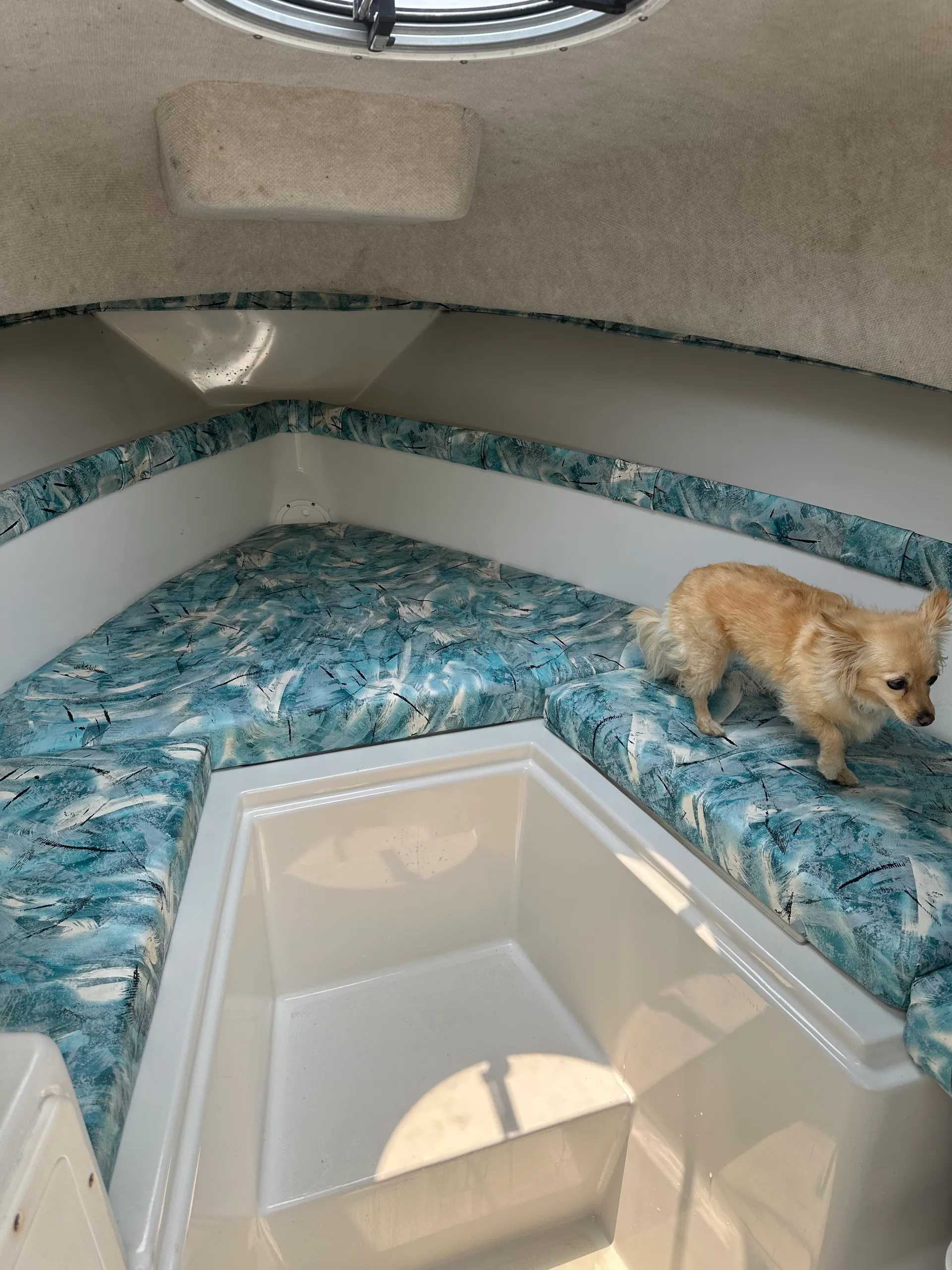 Seaswirl Boats 2300 WA Striper  in Bumpass, VA — photo 10