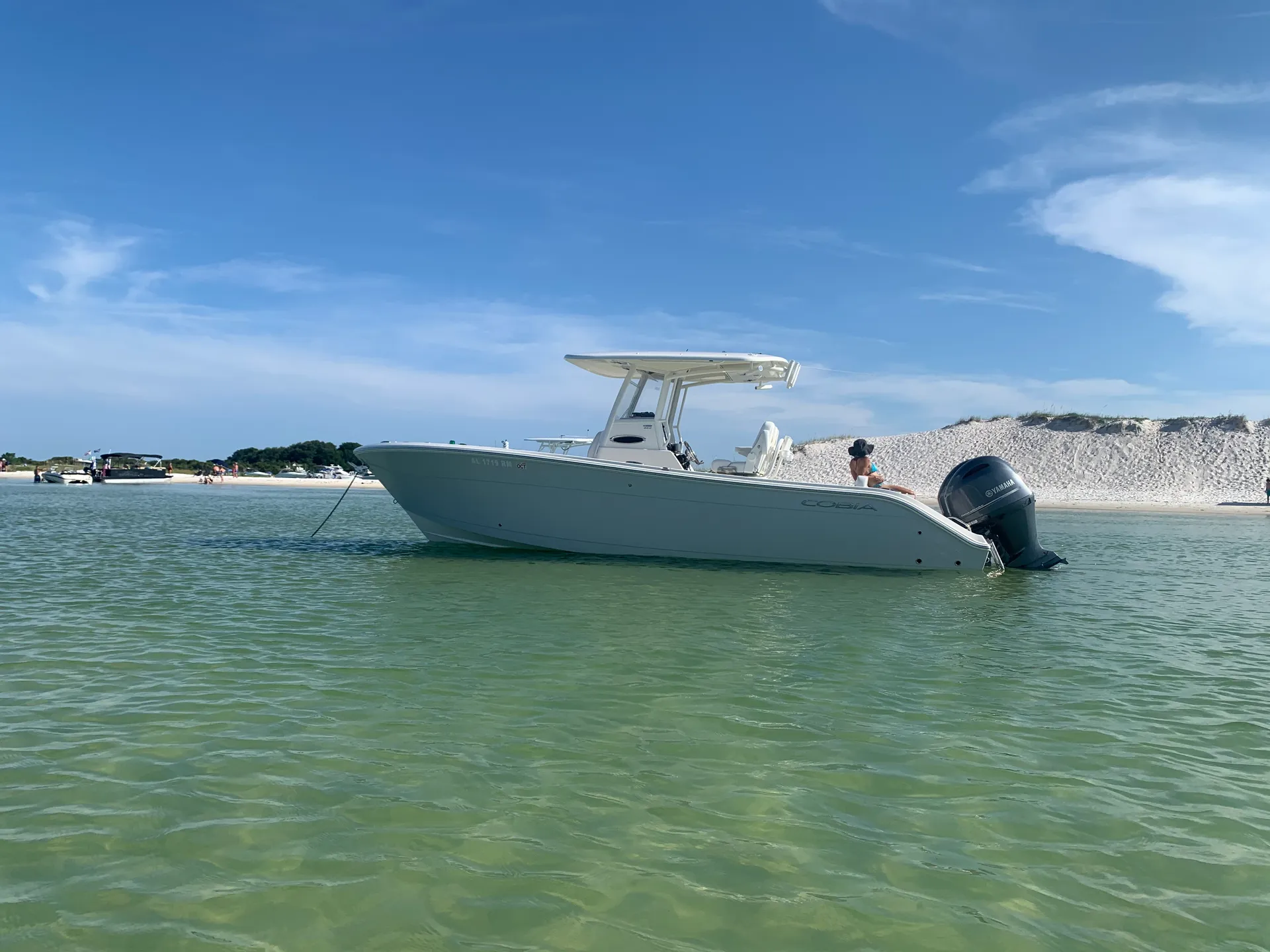 COBIA BOATS 262 CC in Orange Beach, AL — photo 2
