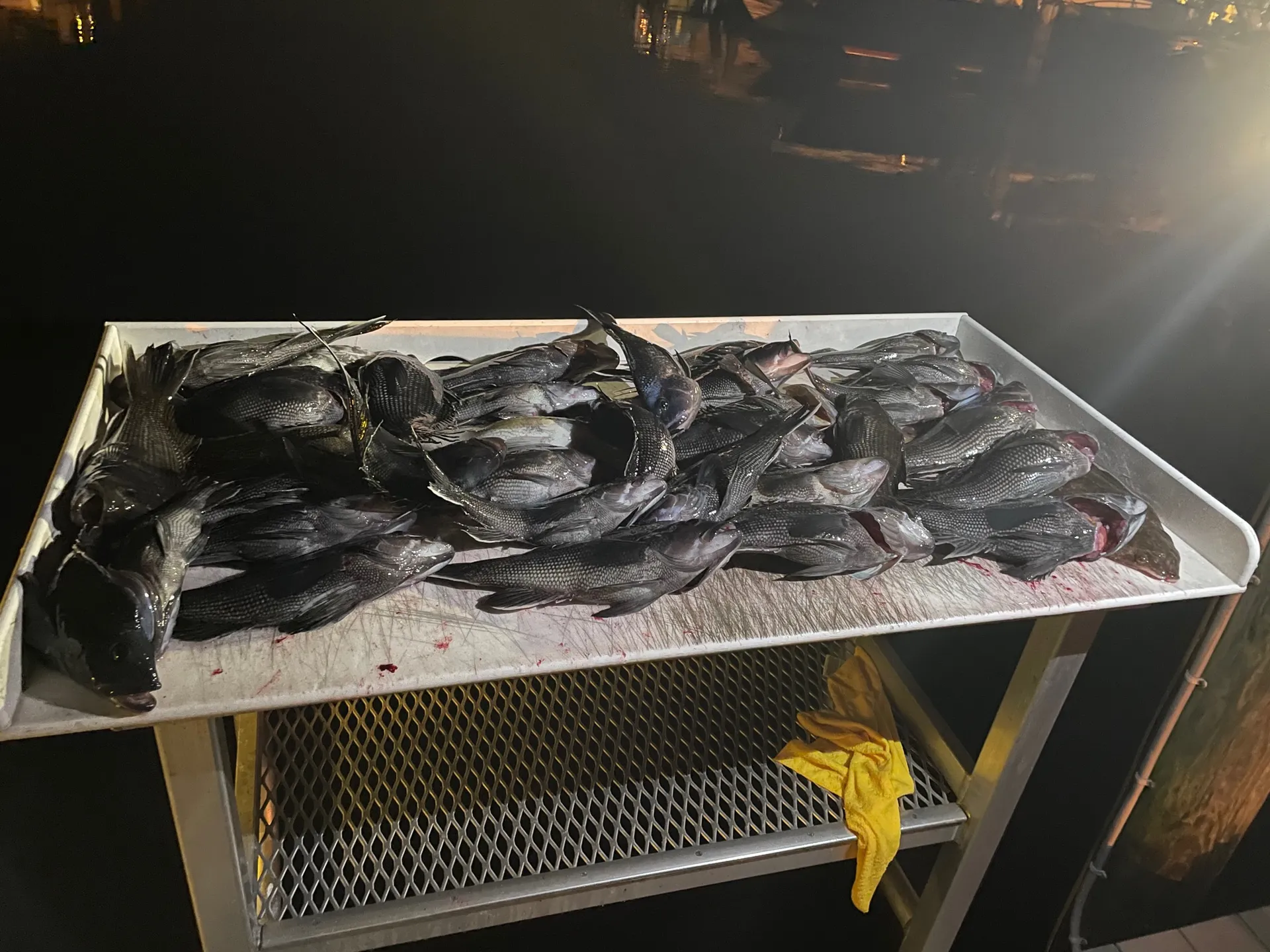Sea hunt  Ultra 275 in Brick Township, NJ — photo 10