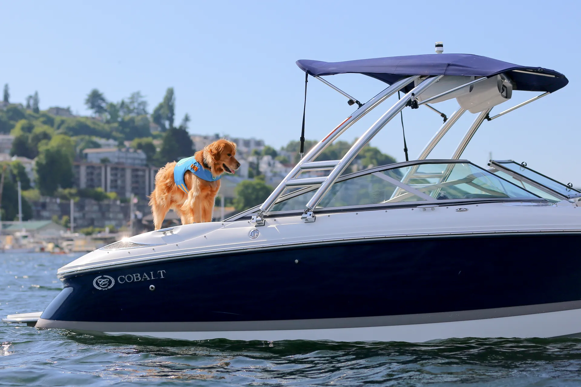 Cobalt Cobalt 200 in Seattle, WA — photo 2