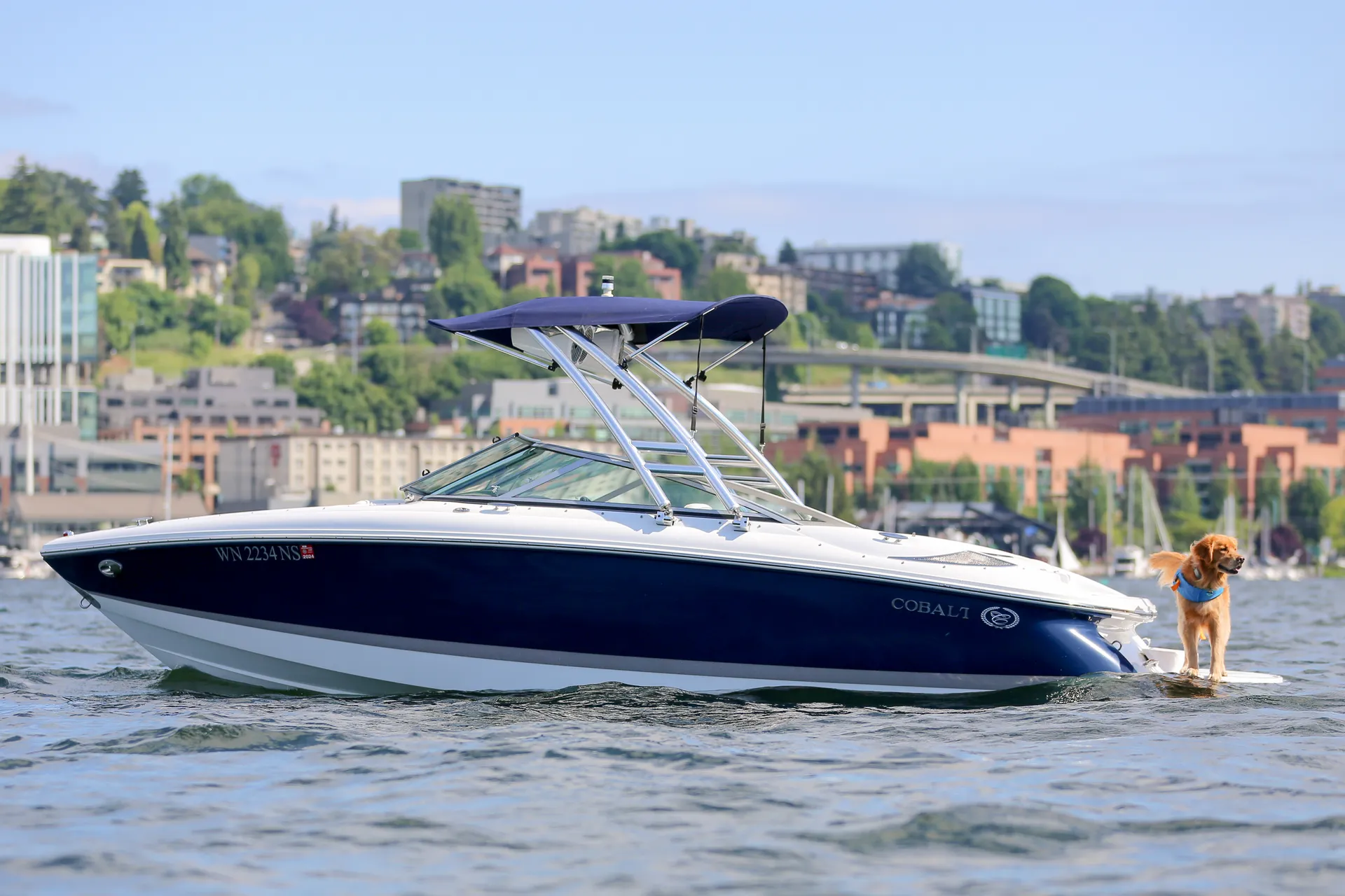 Cobalt Cobalt 200 in Seattle, WA — photo 3