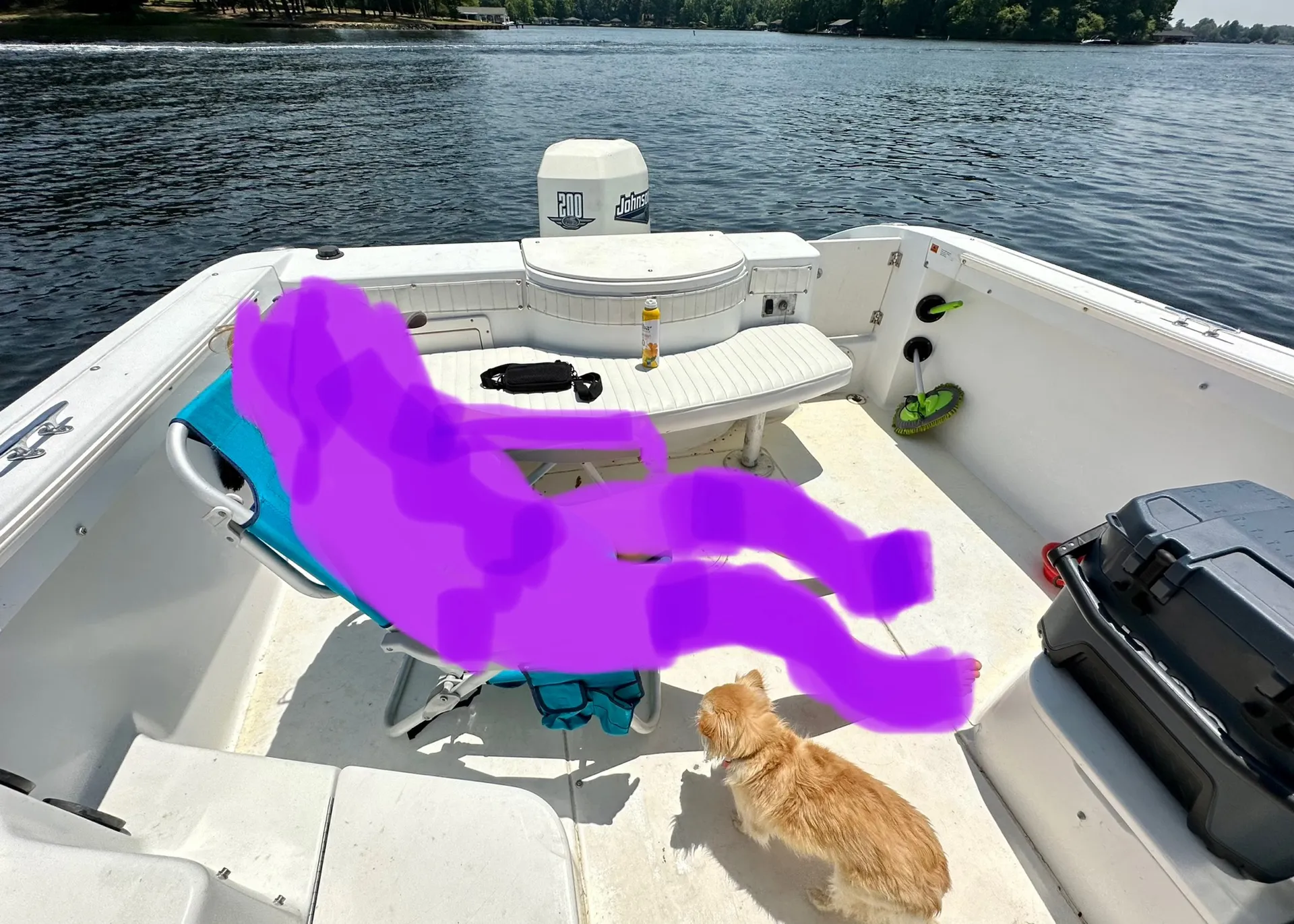 Seaswirl Boats 2300 WA Striper  in Bumpass, VA — photo 3