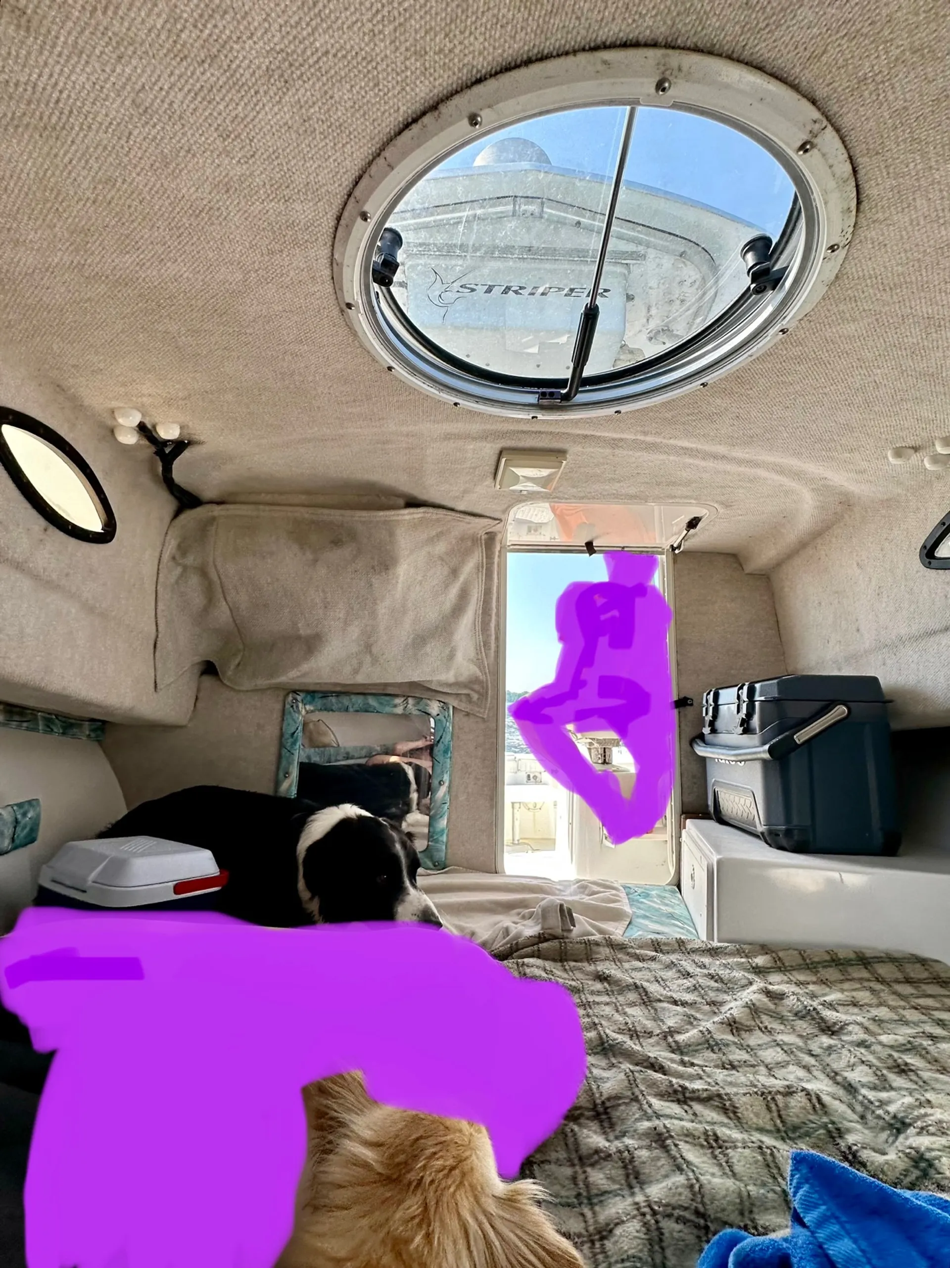 Seaswirl Boats 2300 WA Striper  in Bumpass, VA — photo 4