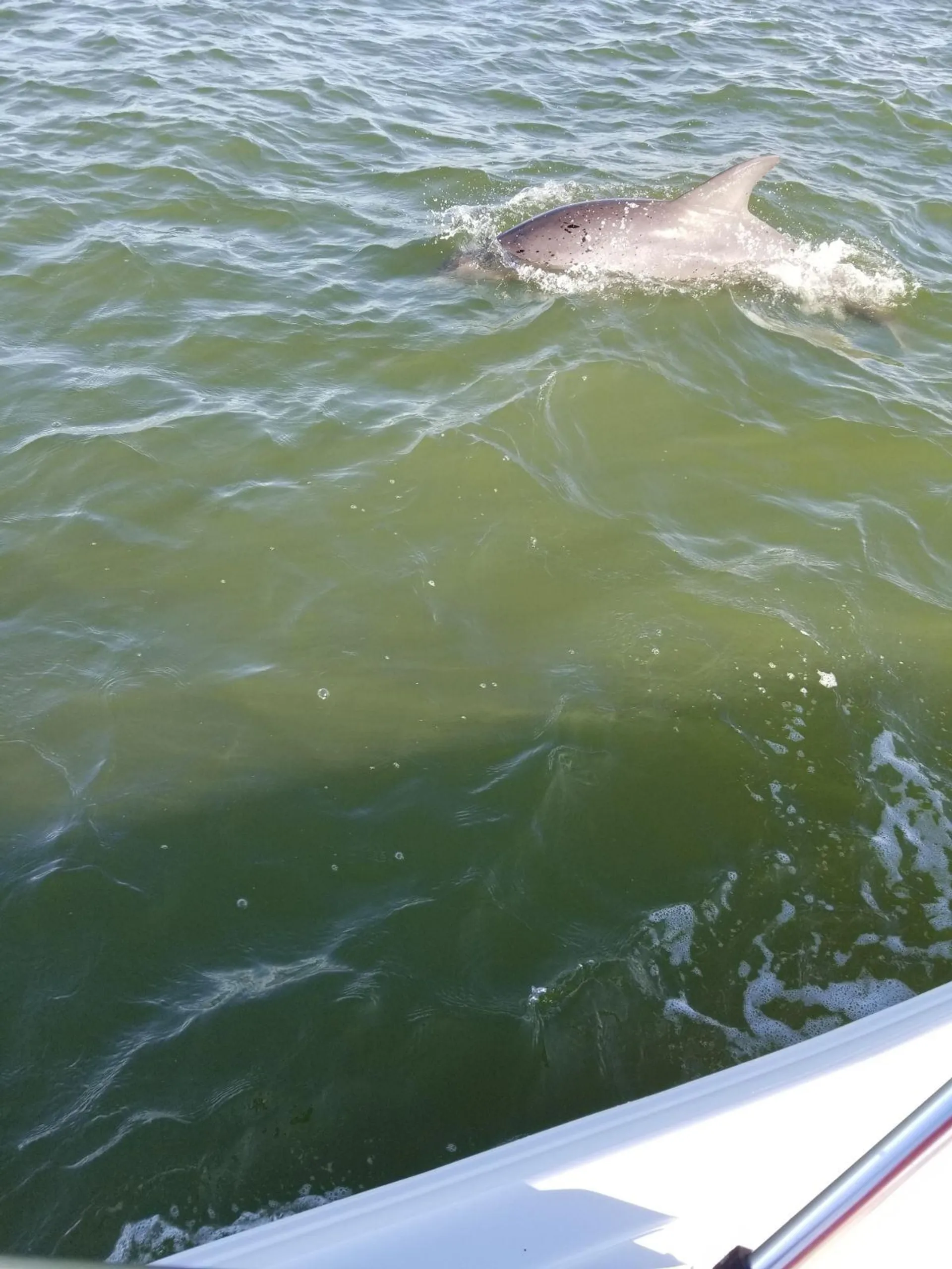 Beautiful 21ft Sea Hunt!