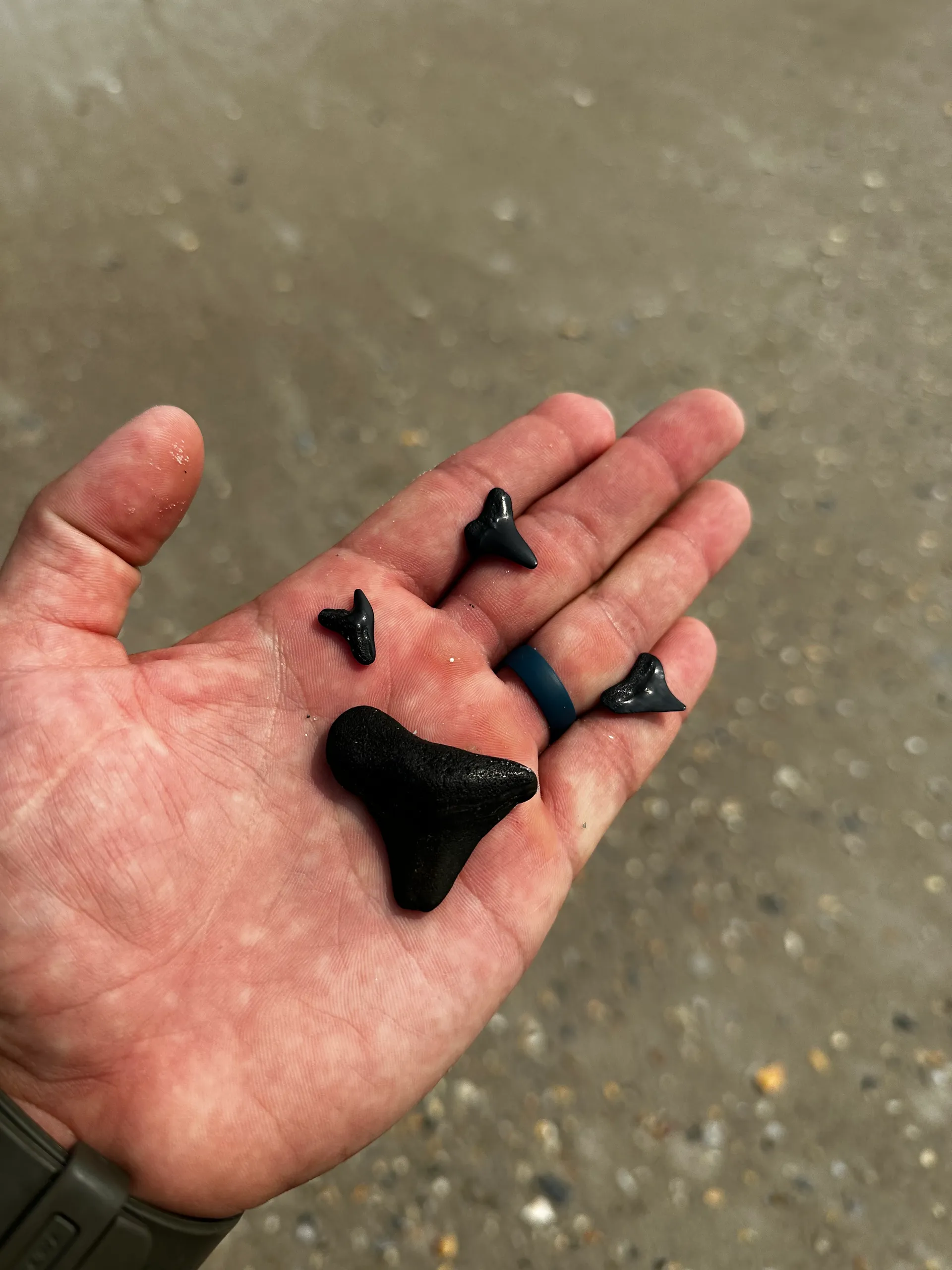 BEAUTIFUL NEW 24’ Sea Hunt Ultra W/Captain & Fuel- Seats 6