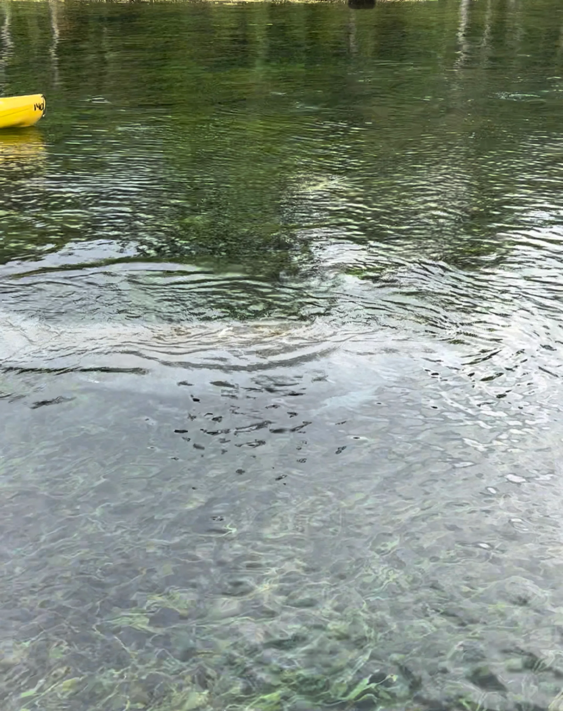 St Augustine and Palm Coast. Seats 12 Owner pays for the fuel. 