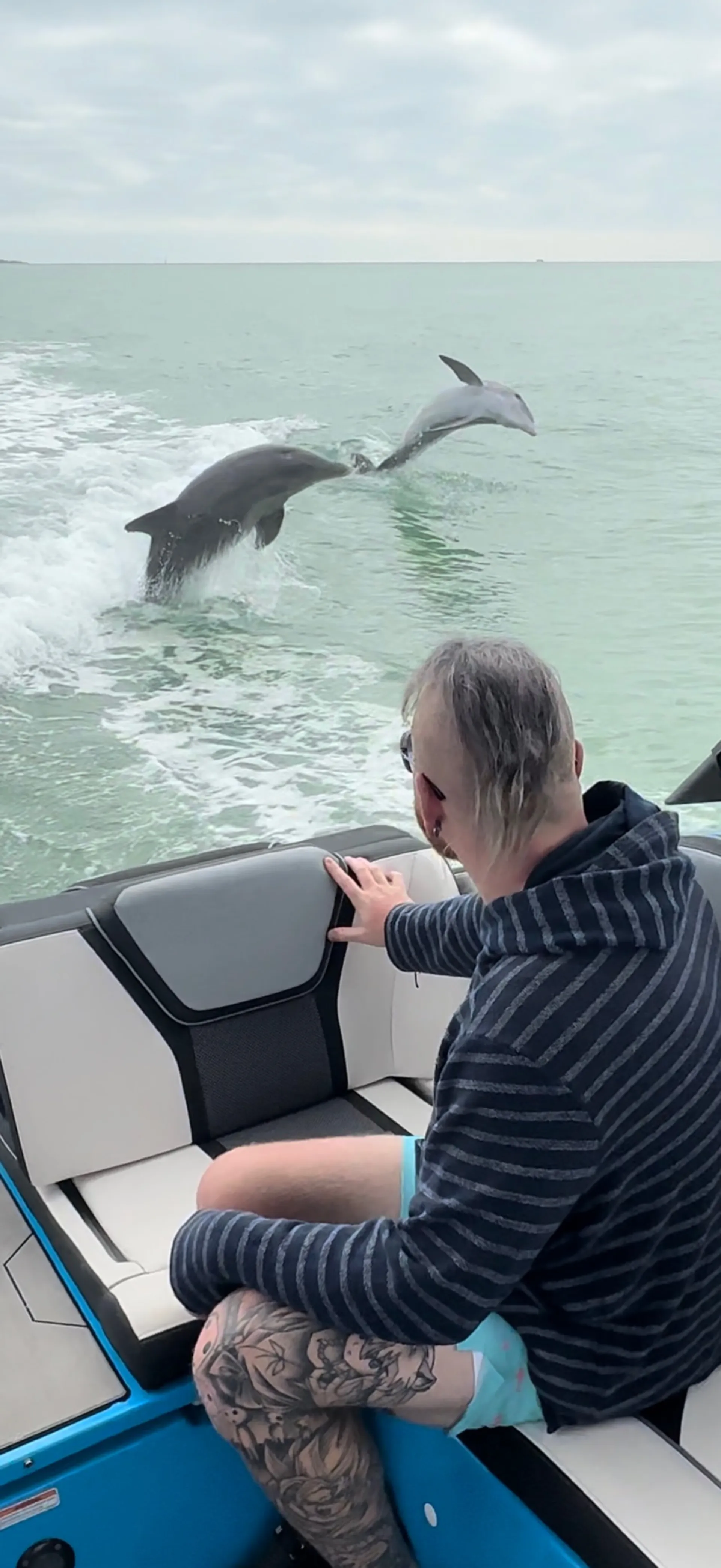 YAMAHA 255 XD in St. Petersburg, FL — photo 9