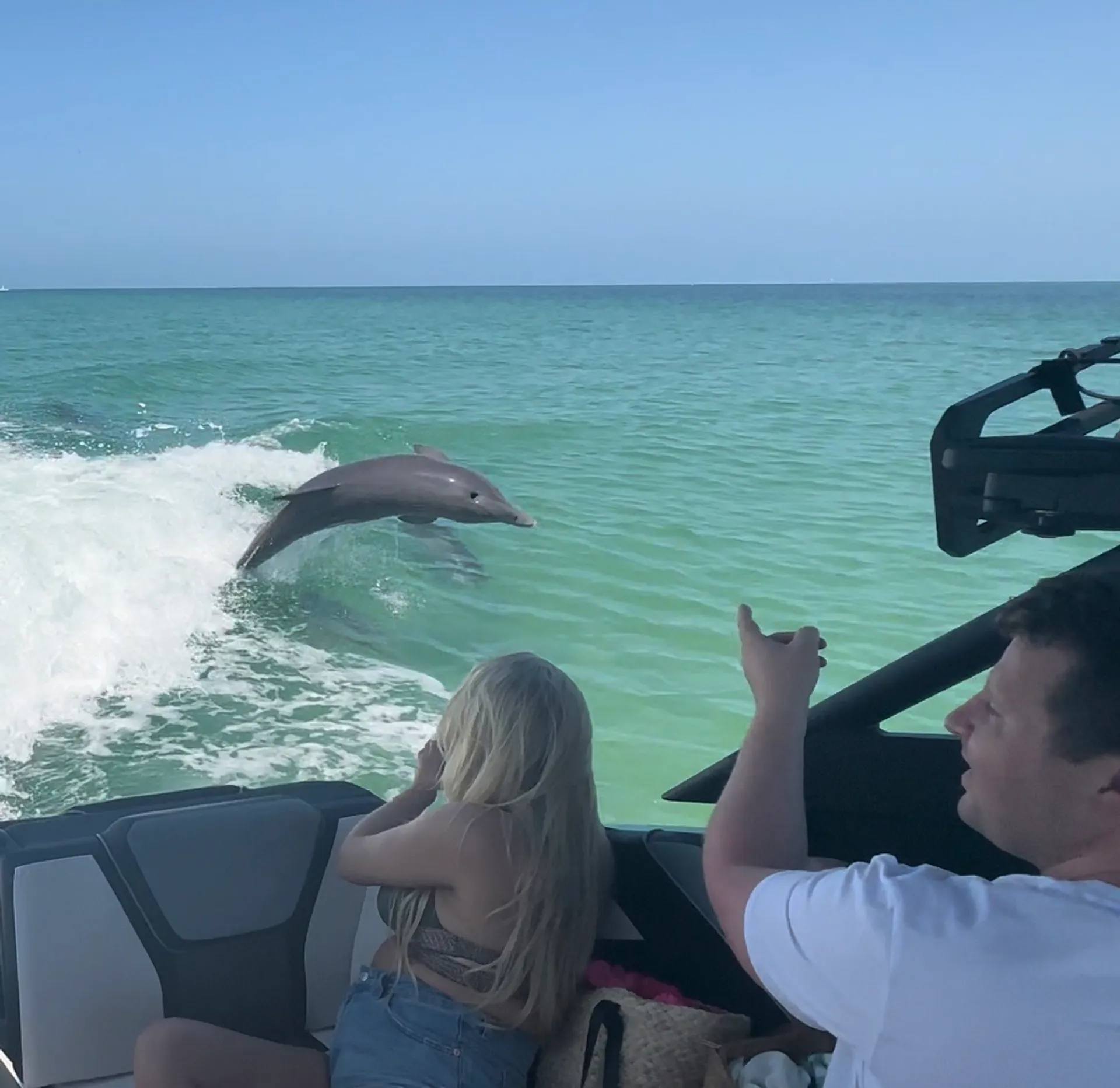 YAMAHA 255 XD in St. Petersburg, FL — photo 5