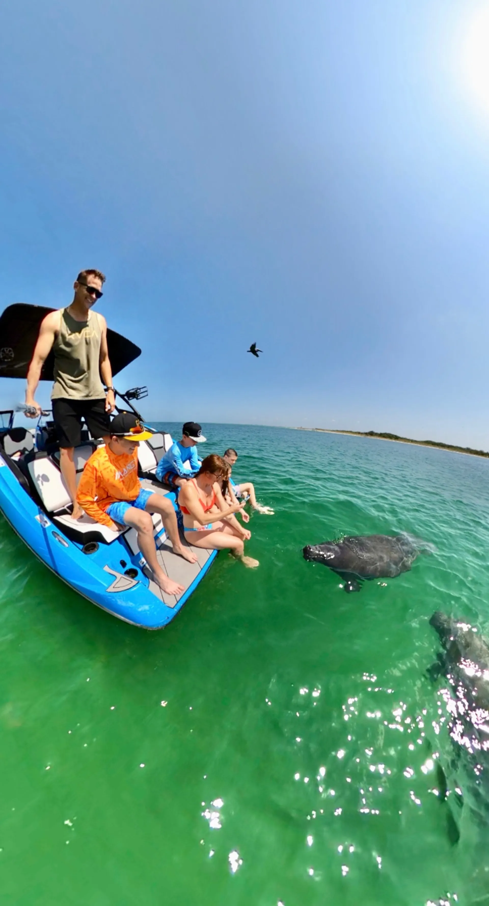 YAMAHA 255 XD in St. Petersburg, FL — photo 8