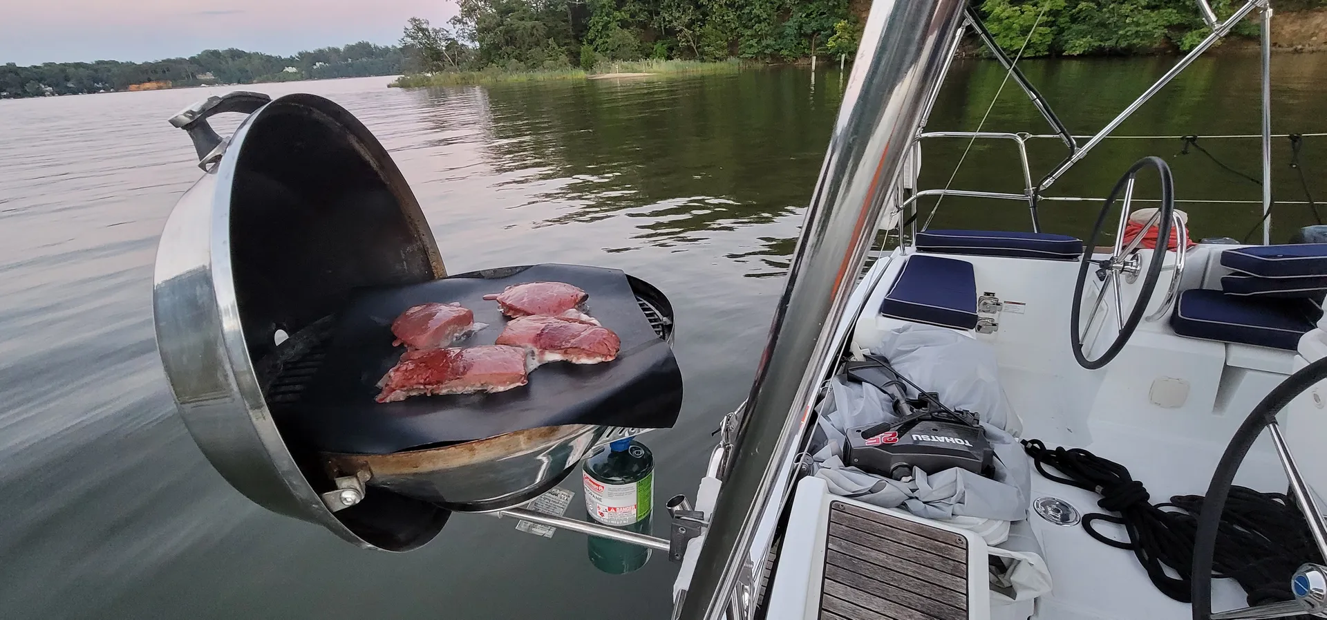 Sail away on the Chesapeake Bay with Chessie from Annapolis!  