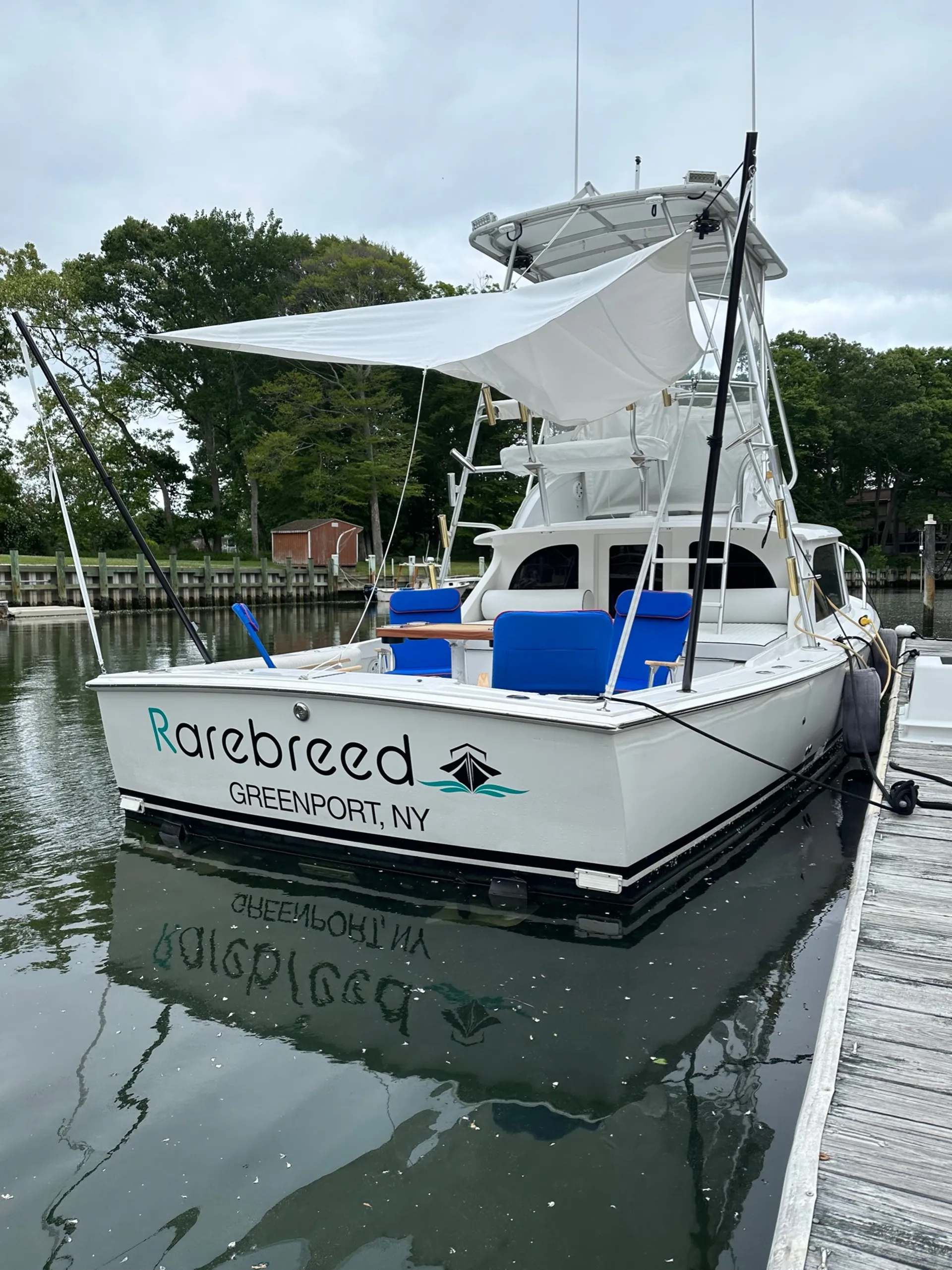 31’ Bertram with local Captain & fuel included.