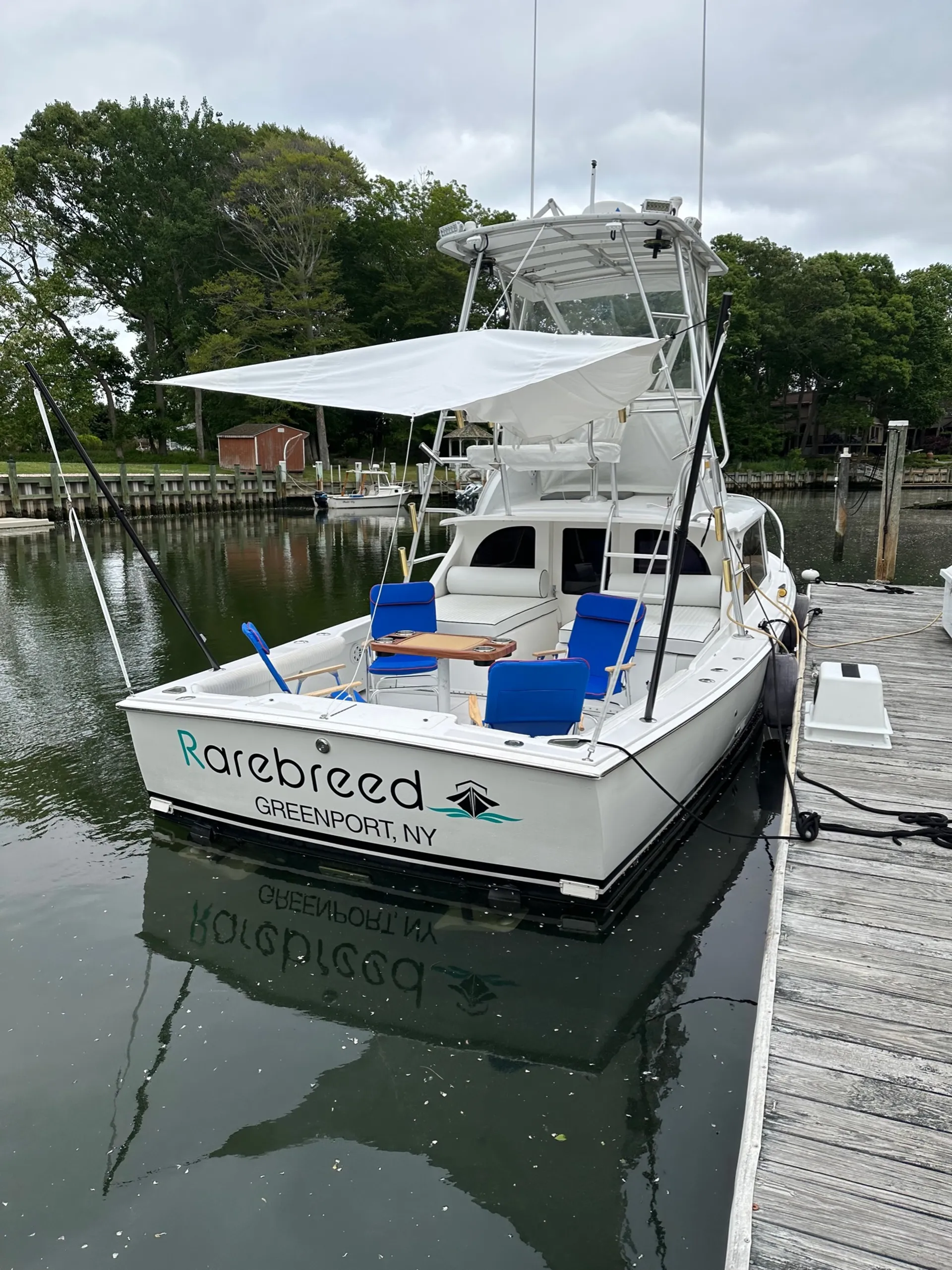 31’ Bertram with local Captain & fuel included.