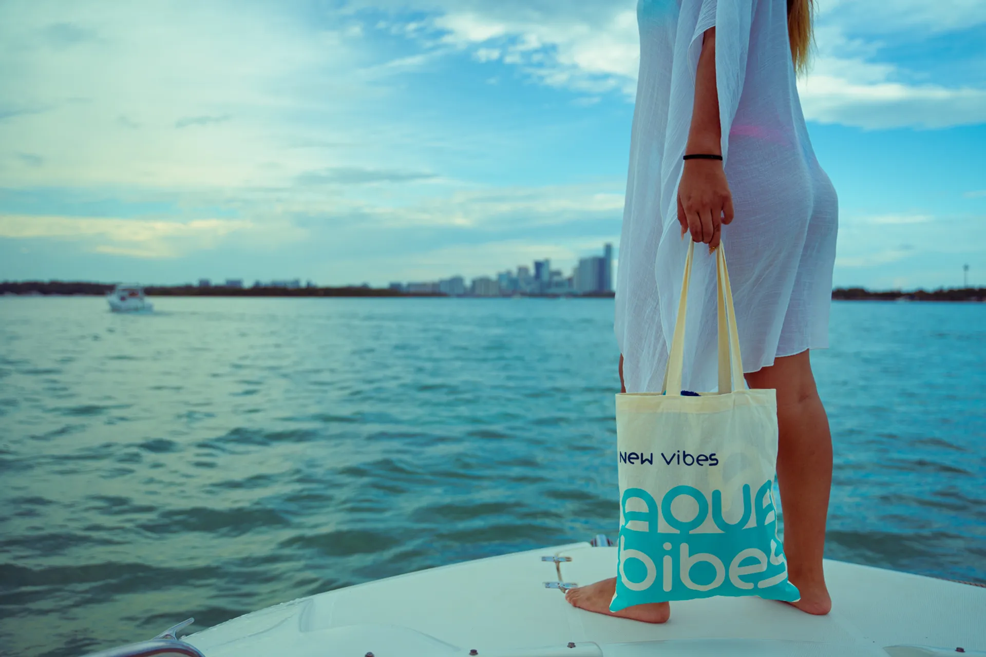 Hurricane Boats SD 260 in North Miami Beach, FL — photo 6