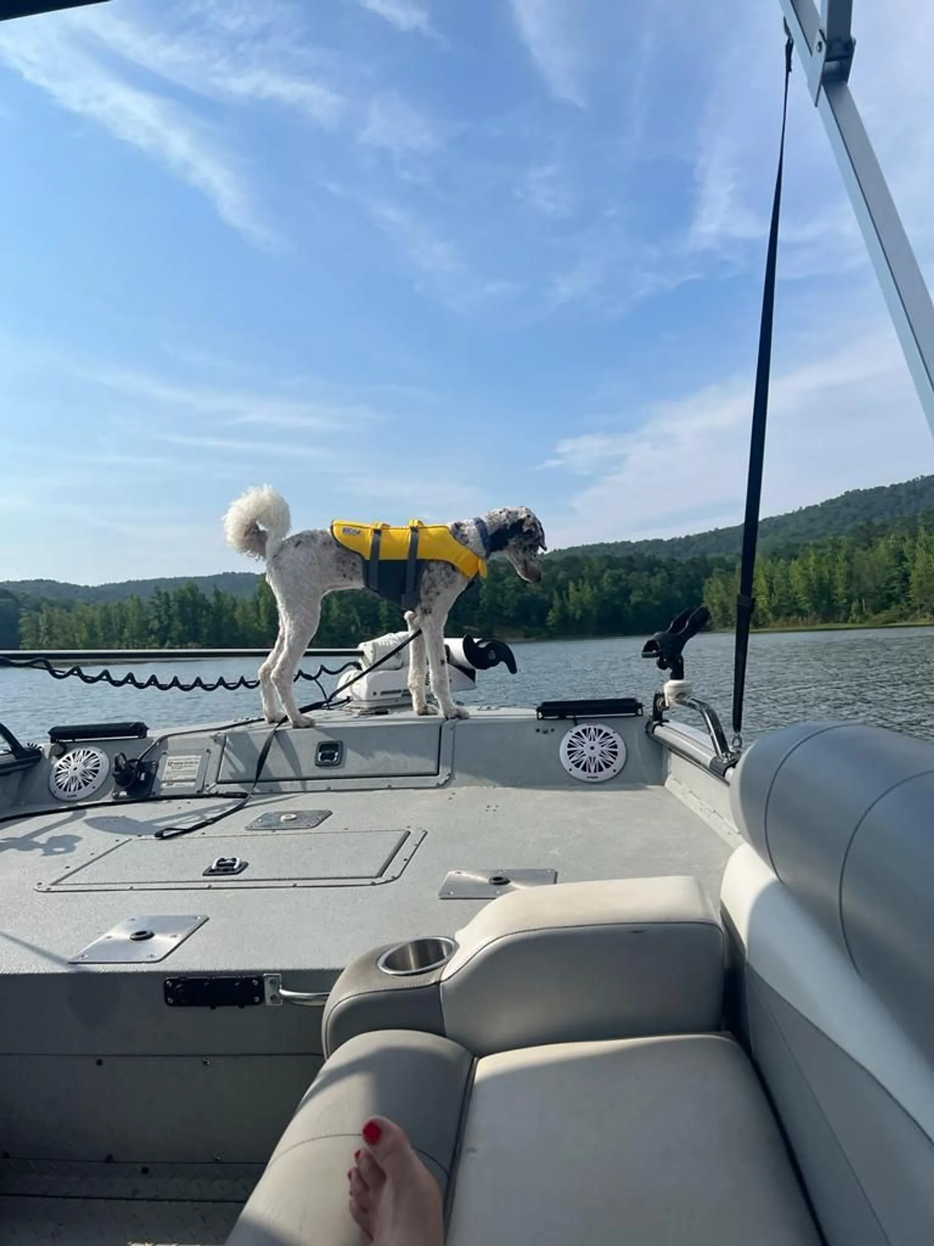 SeaArk BigEasy on lake Lewisville or Grapevine,**FREE FLOATING MAT!!**