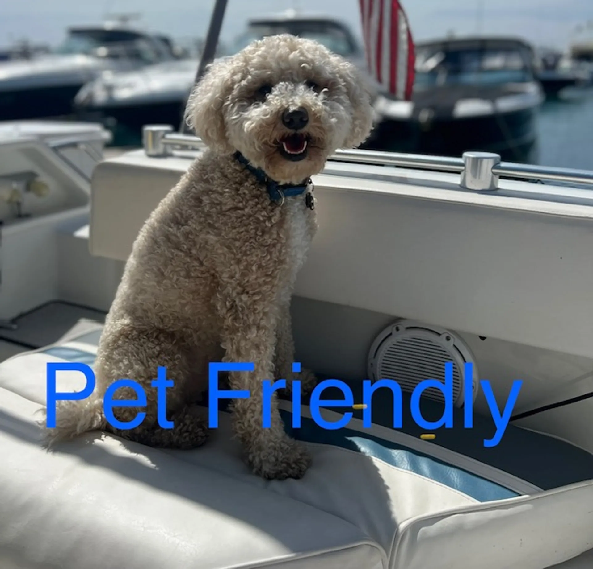 44ft Luxury Spacious Party Motor Yacht - Paradise