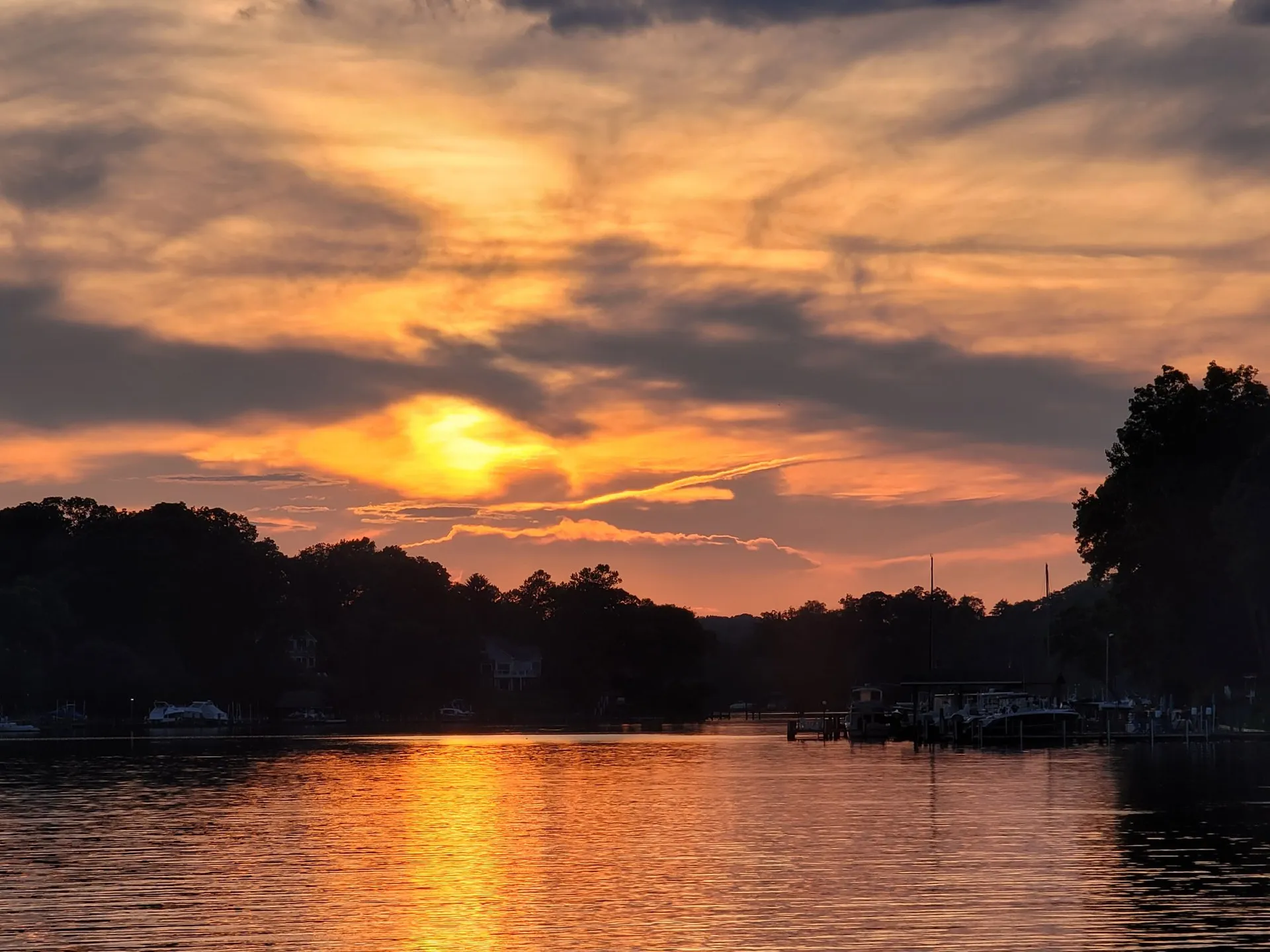 Sail away on the Chesapeake Bay with Chessie from Annapolis!  