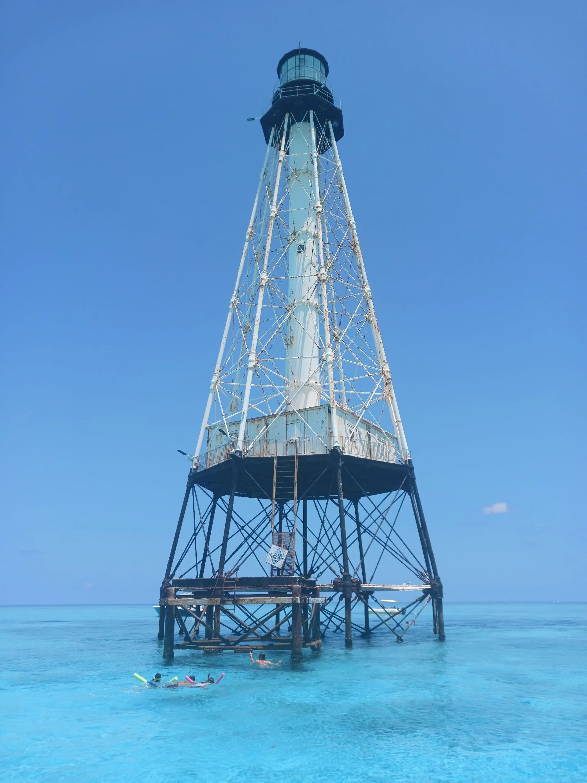Explore the Stunning Waters of the Florida Keys Aboard Our 31’ Contend