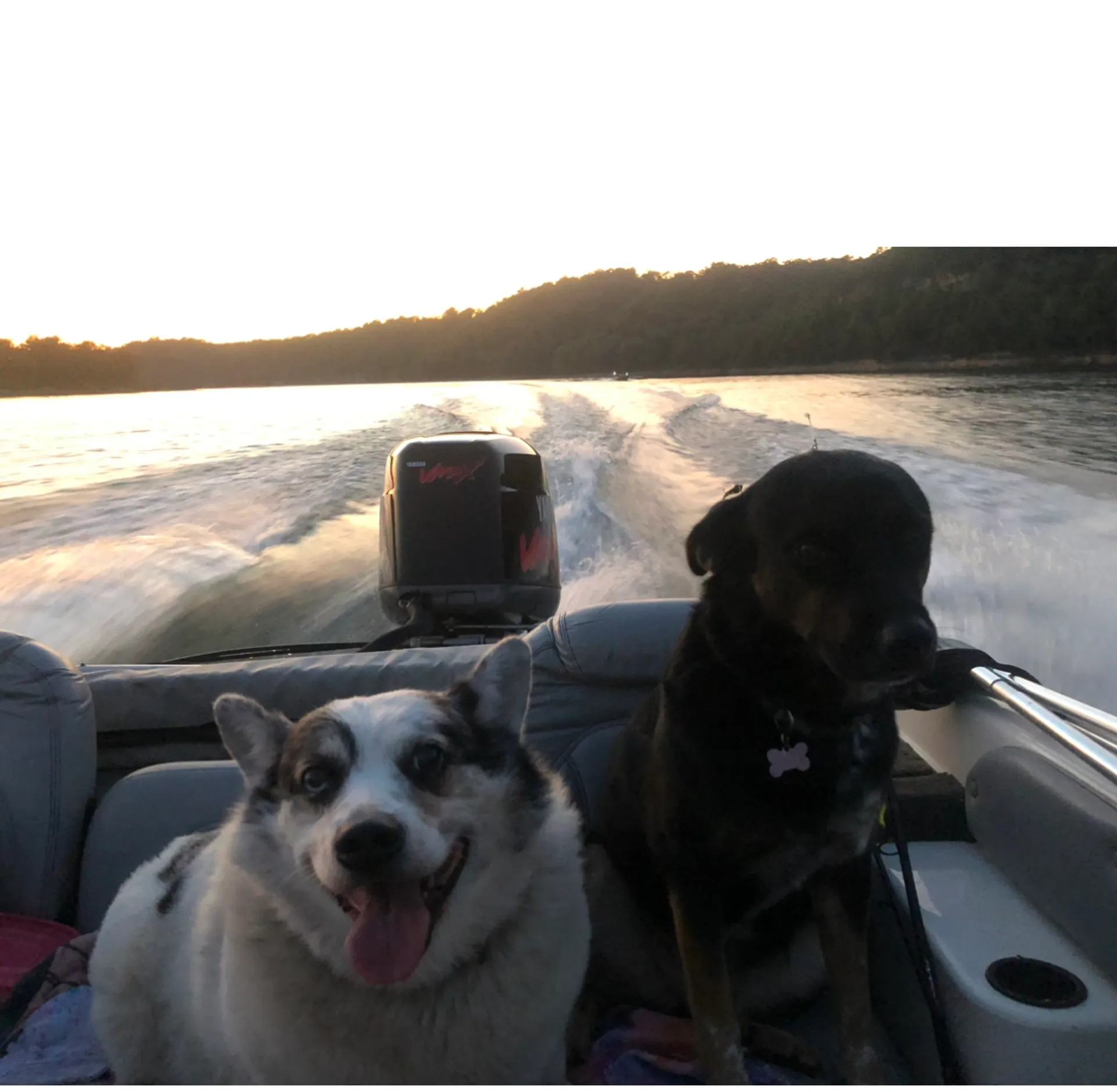 Skeeter Fish & Ski  Boat