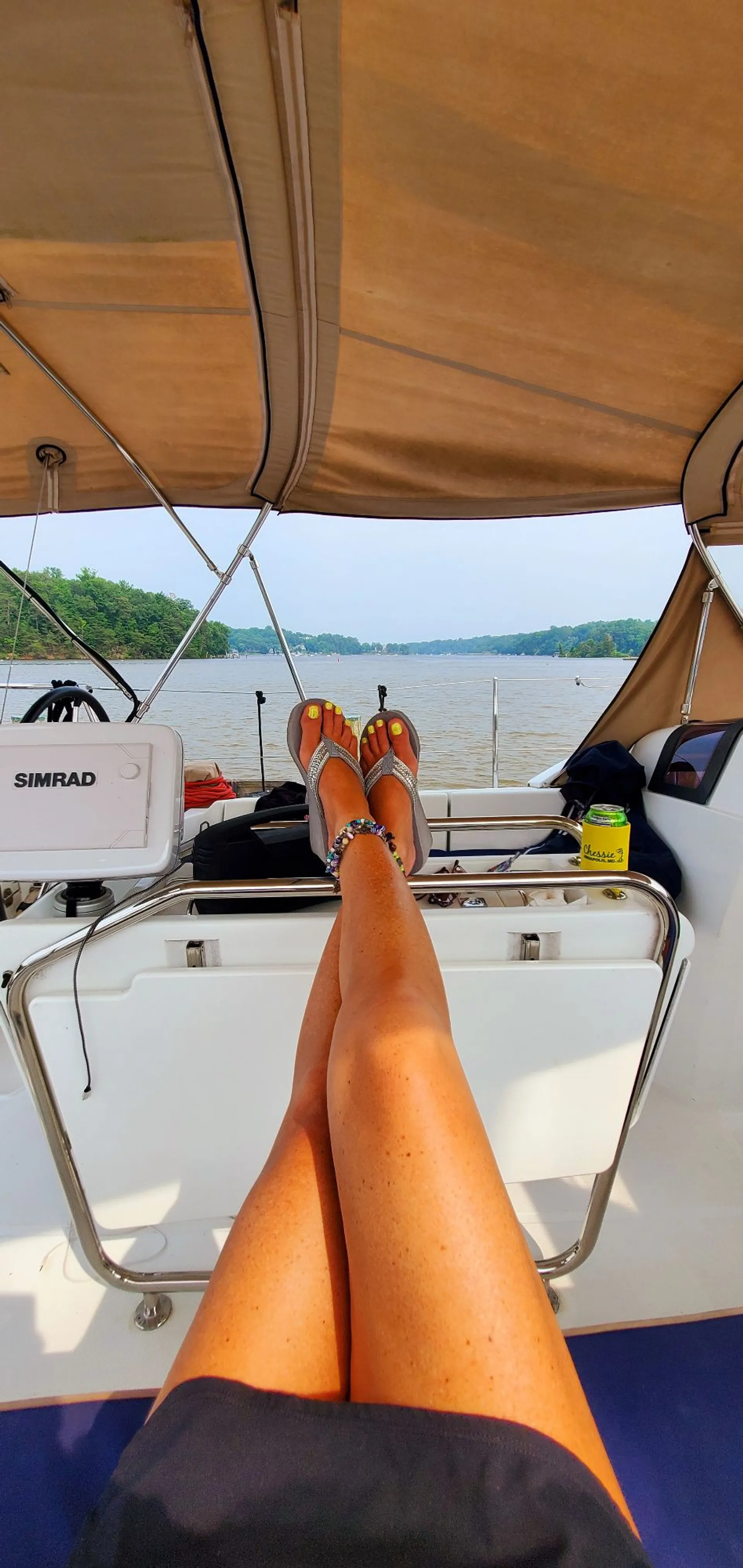 Sail away on the Chesapeake Bay with Chessie from Annapolis!  