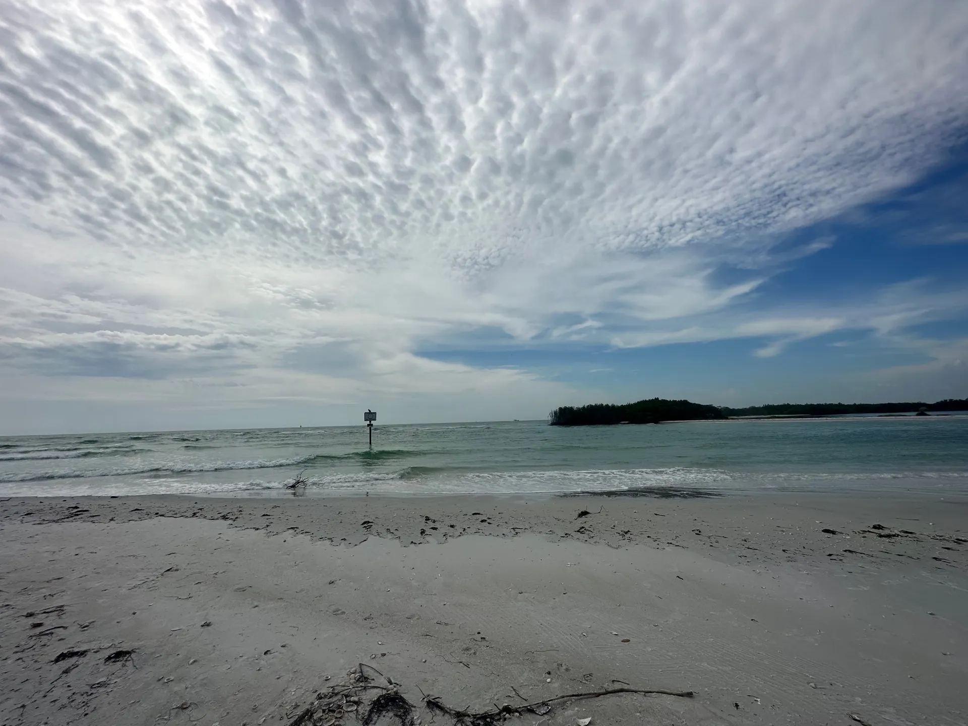 Chadillac Experience on Clearwater Beach