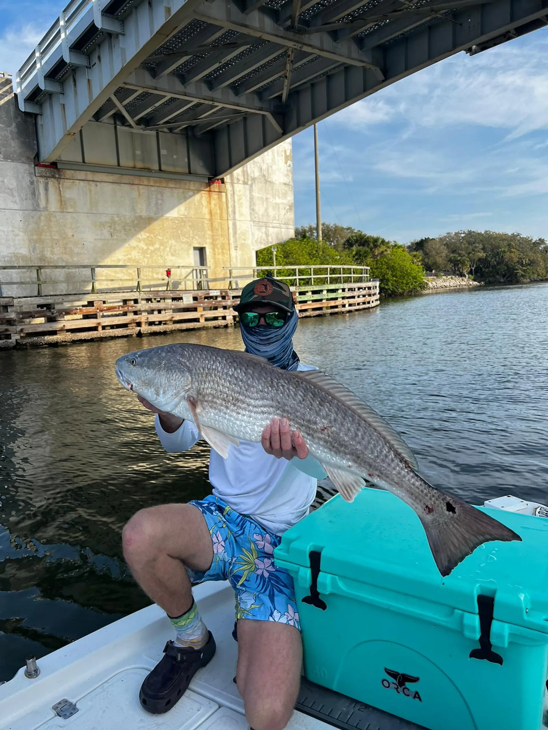 Triton (TN) 220 LTS in Ruskin, FL — photo 4