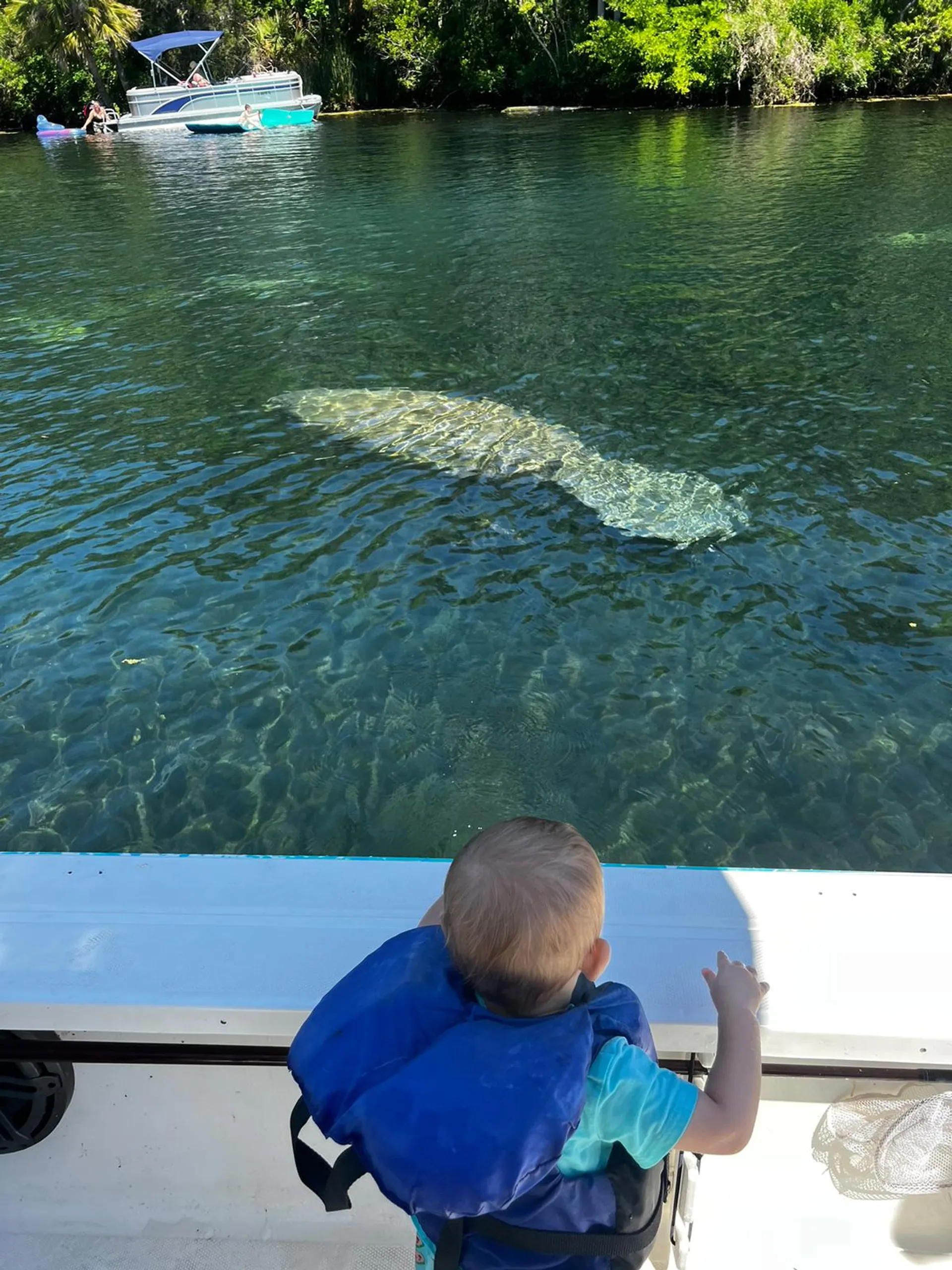 Triton (TN) 220 LTS in Ruskin, FL — photo 6