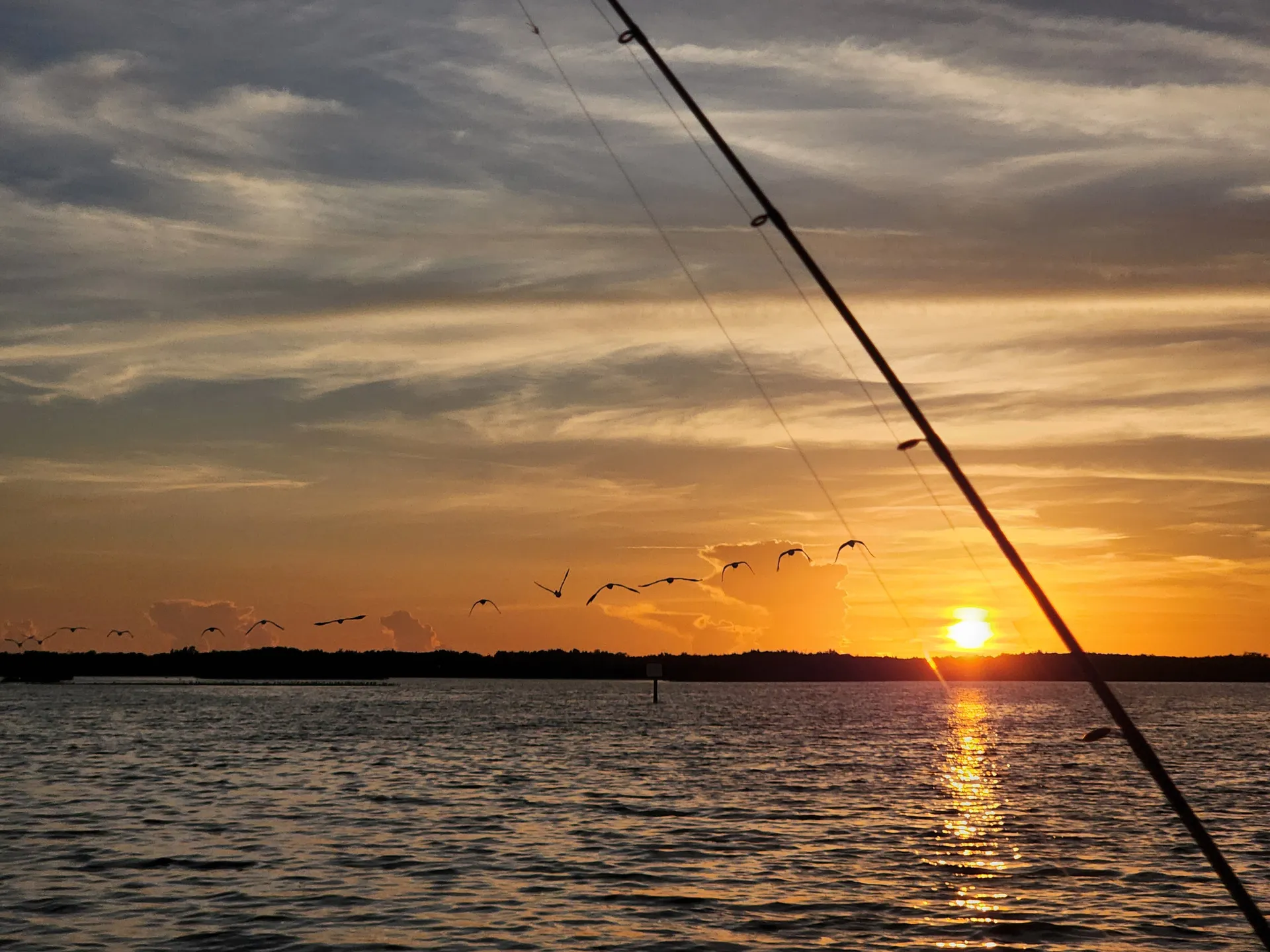 BLUE WAVE BOATS BY PARKS MFG. 2800 PURE HYBRID in Placida, FL — photo 6