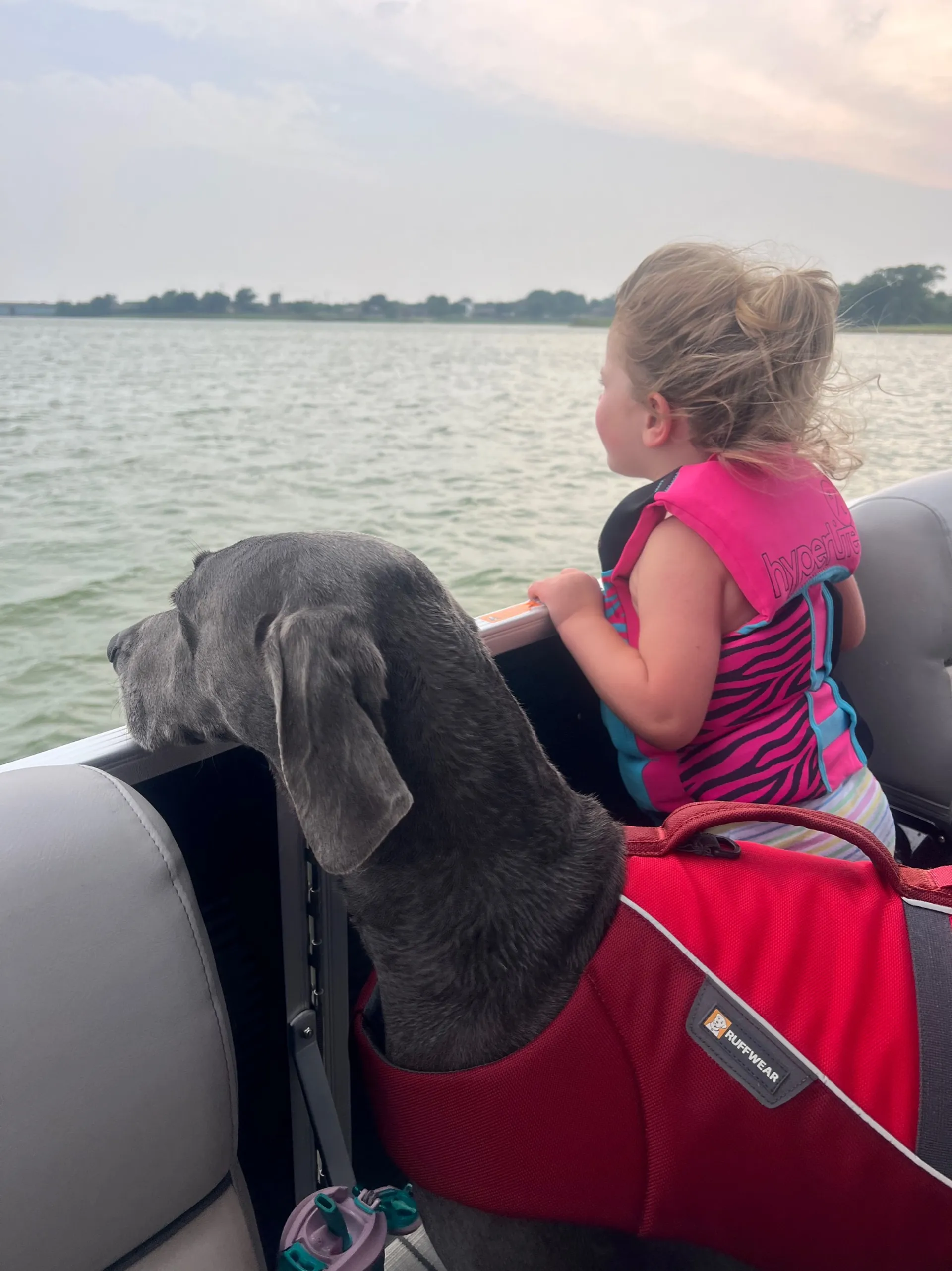 Dive into a Memorable Lake Escape with Envy Rentals